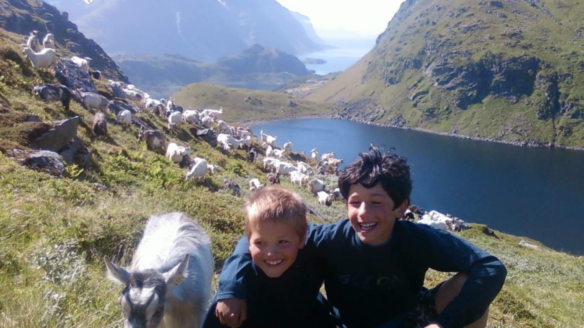 Lofoten Gårdsysteri