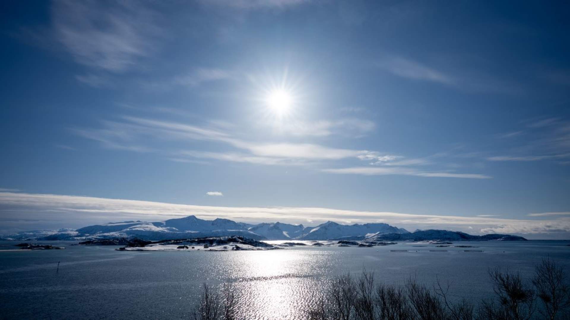 Sommarøy Fjordtur med lokal guide og bilder