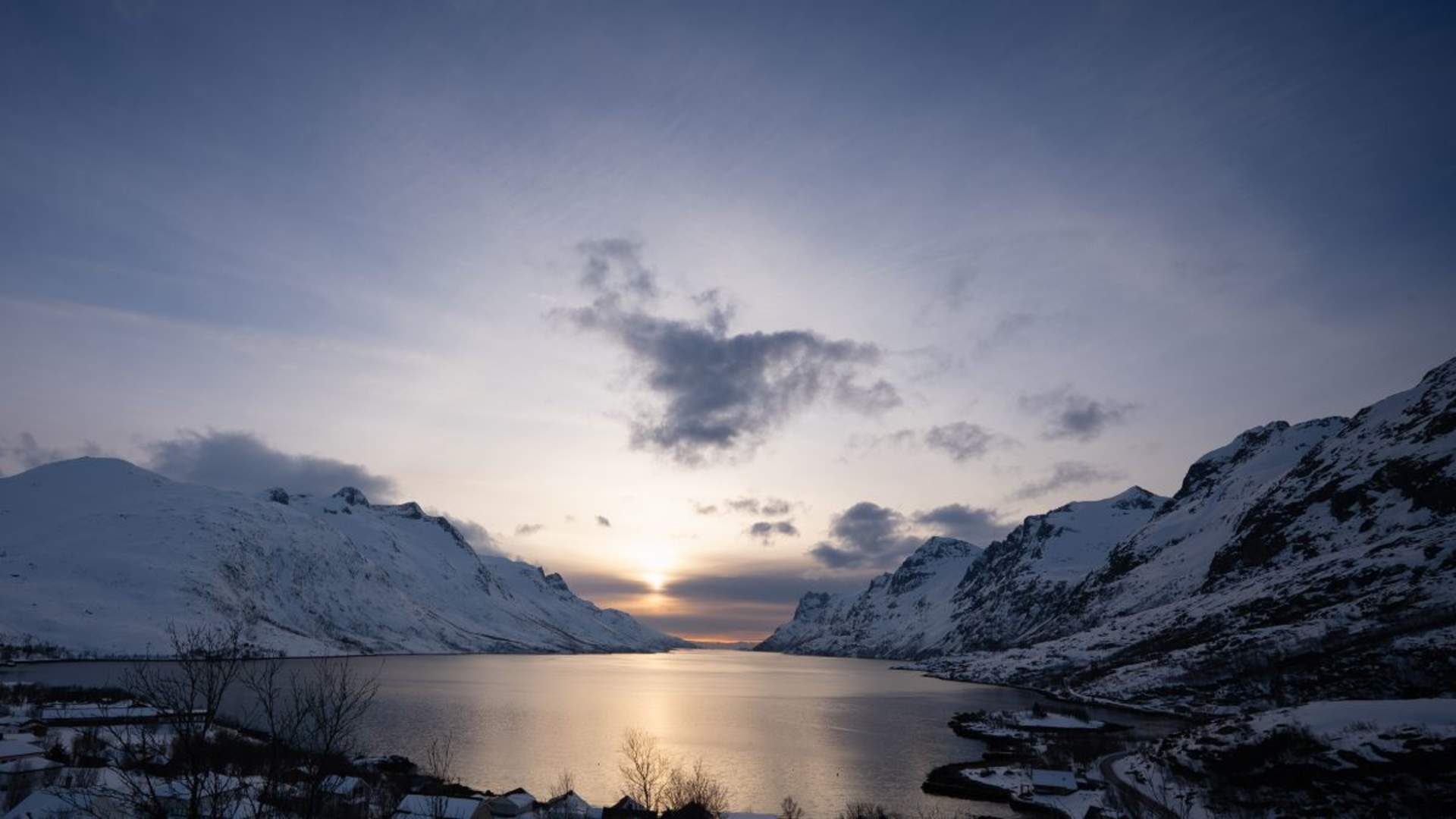 Sommarøy Fjordtur med lokal guide og bilder