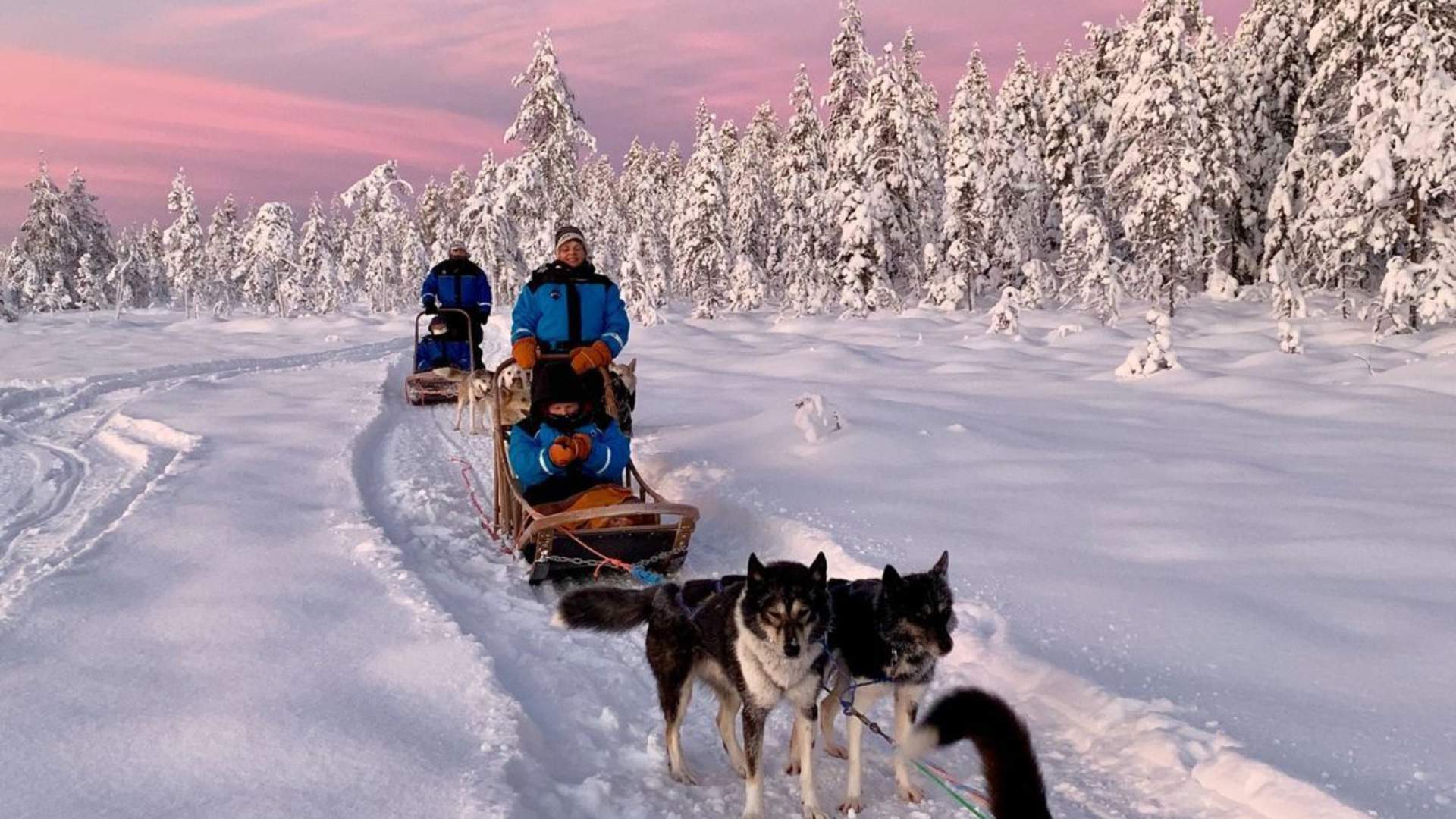 Legendary Arctic &#8211; Your local DMC