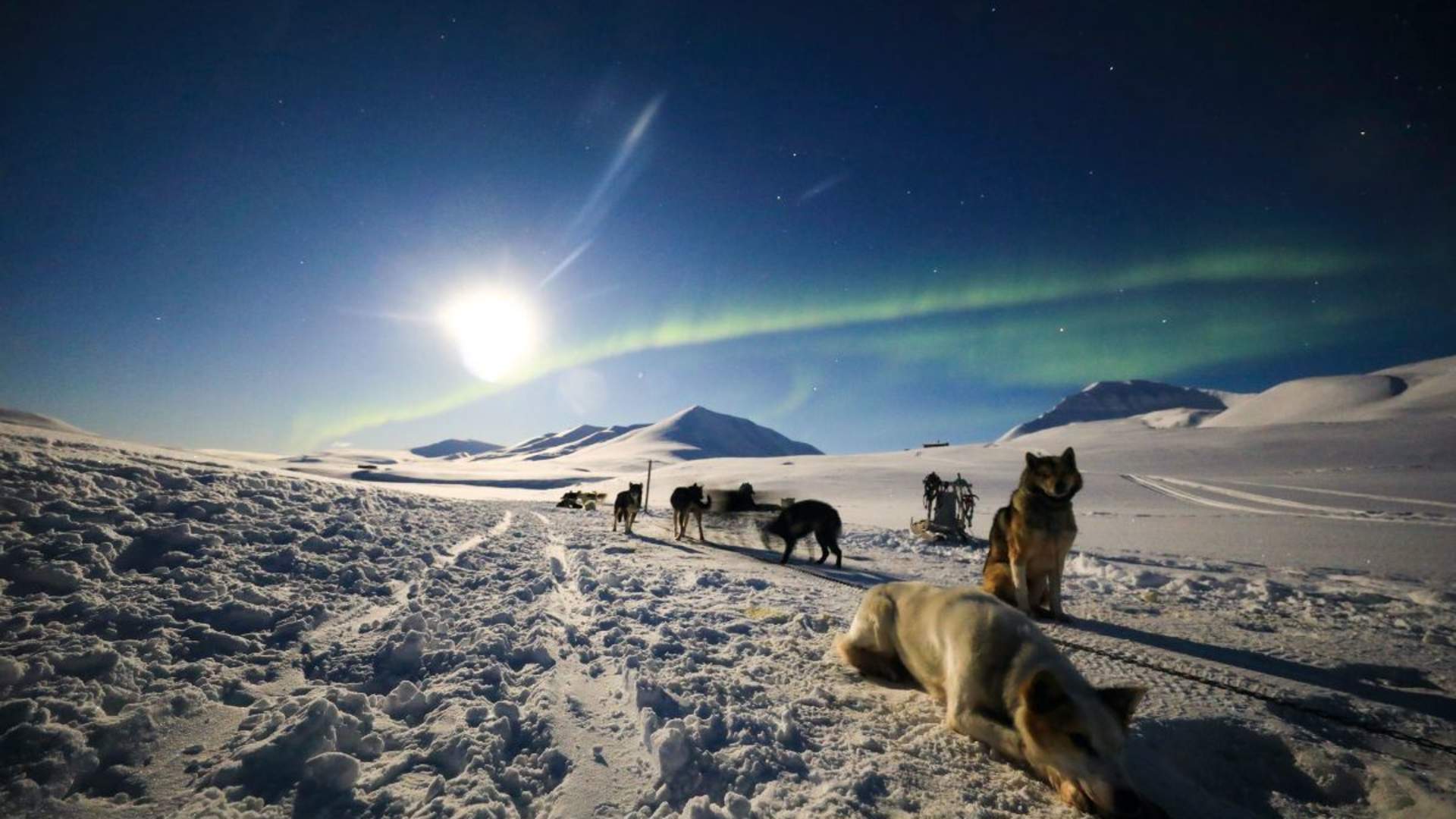 Legendary Arctic &#8211; Your local DMC