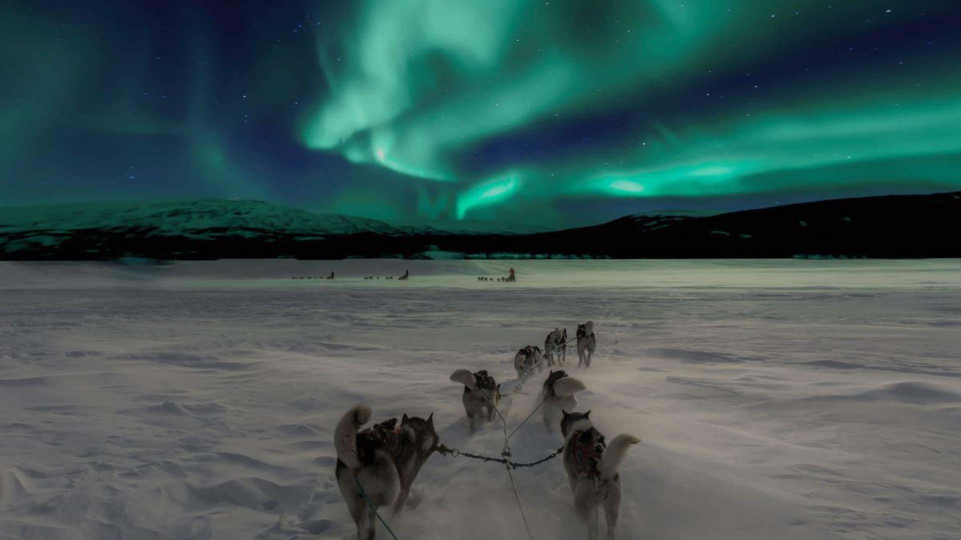 Legendary Arctic &#8211; Your local DMC