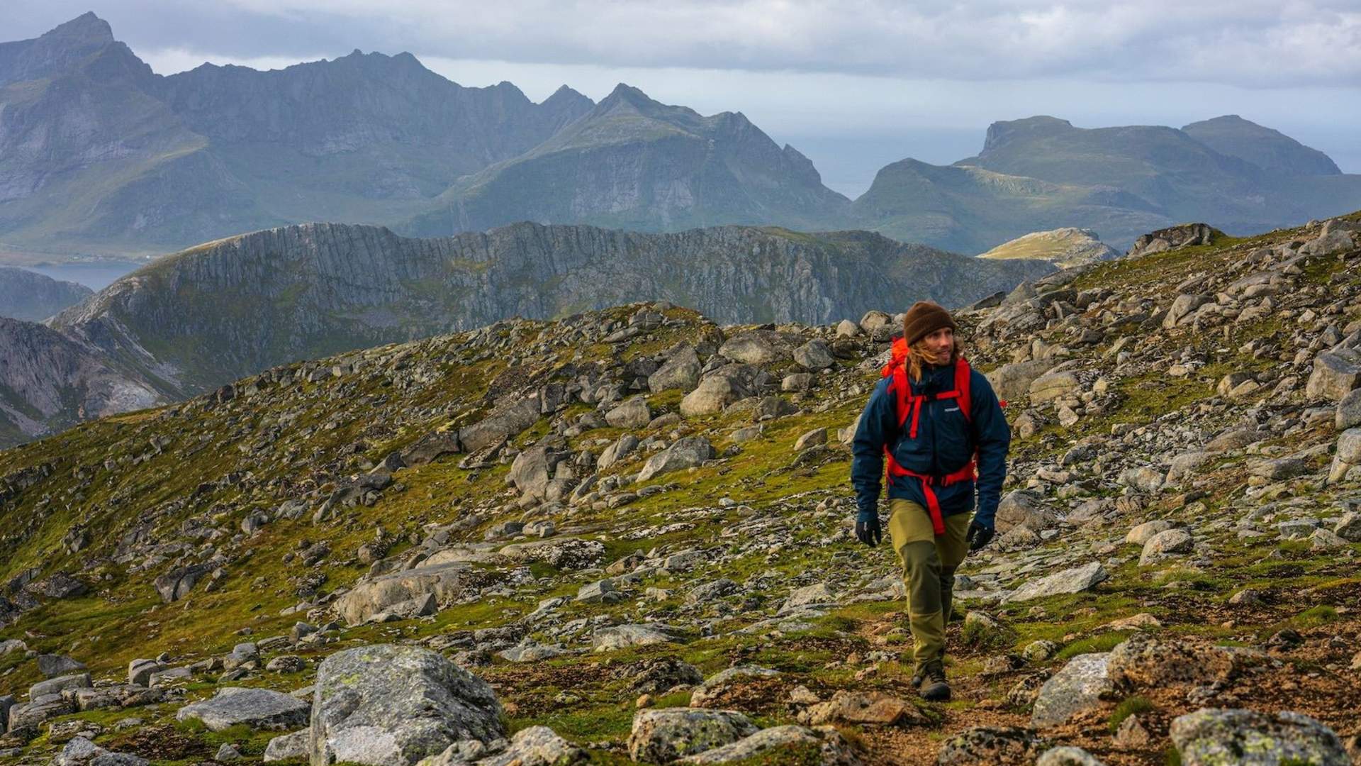 Lofoten Birding