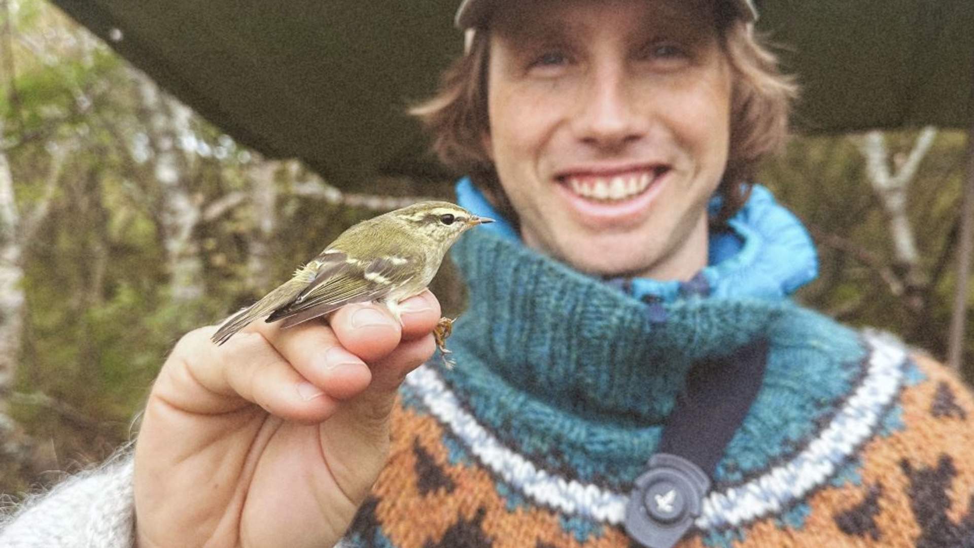 Lofoten Birding