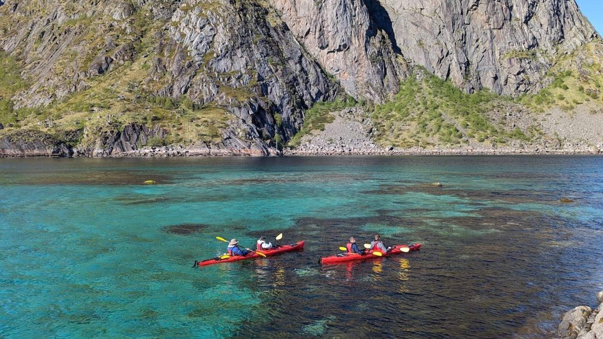 Explore Reinefjord by kayak (3h)