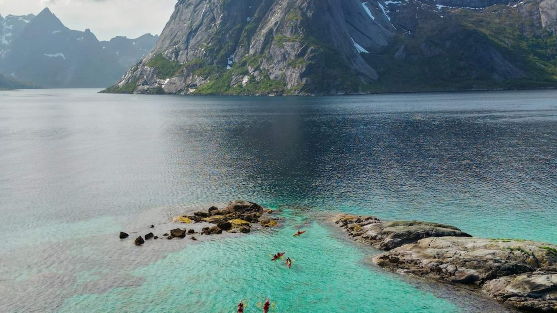 Explore Reinefjord by kayak (3h)
