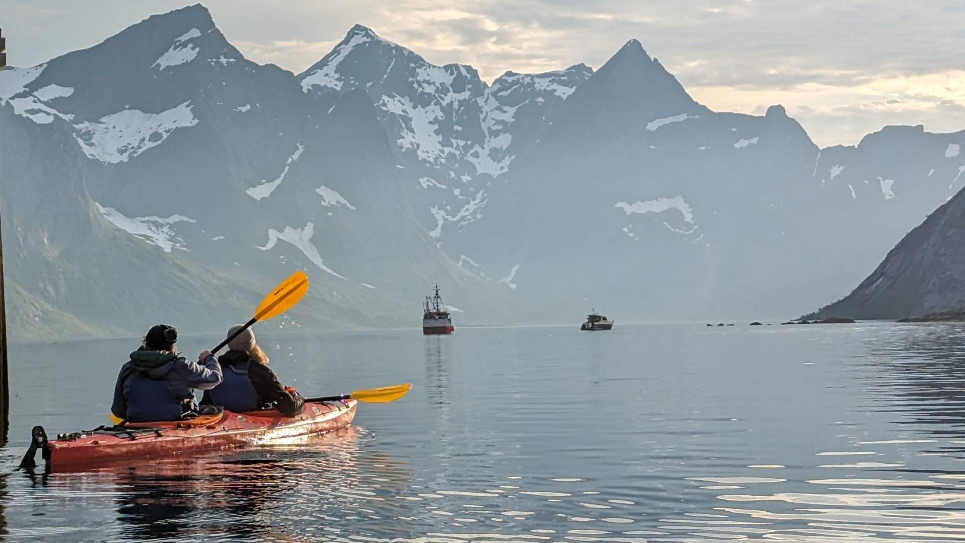 Explore Reinefjord by kayak (3h)