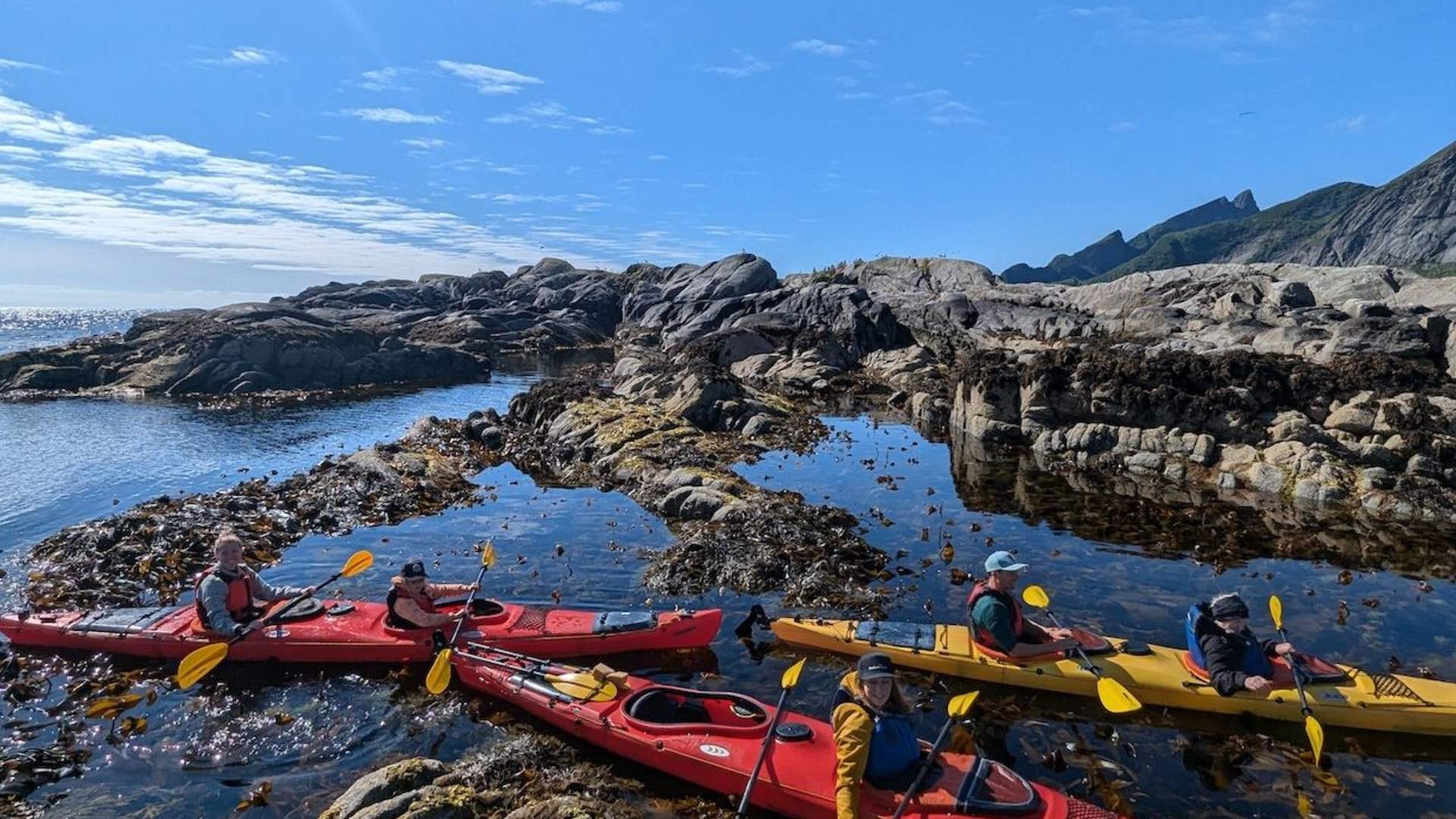 Explore Reinefjord by kayak (3h)