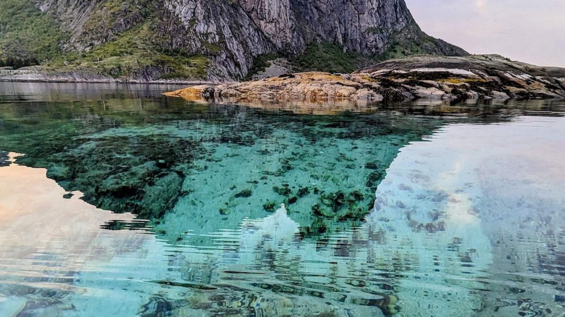 Explore Reinefjord by kayak (3h)