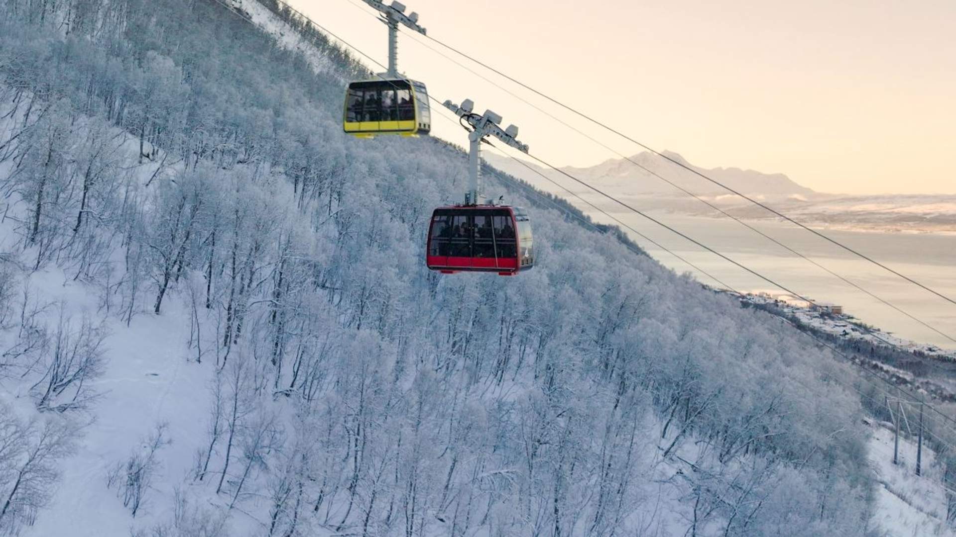Fjellheisen Shuttlebuss & Gondol Tur/Retur