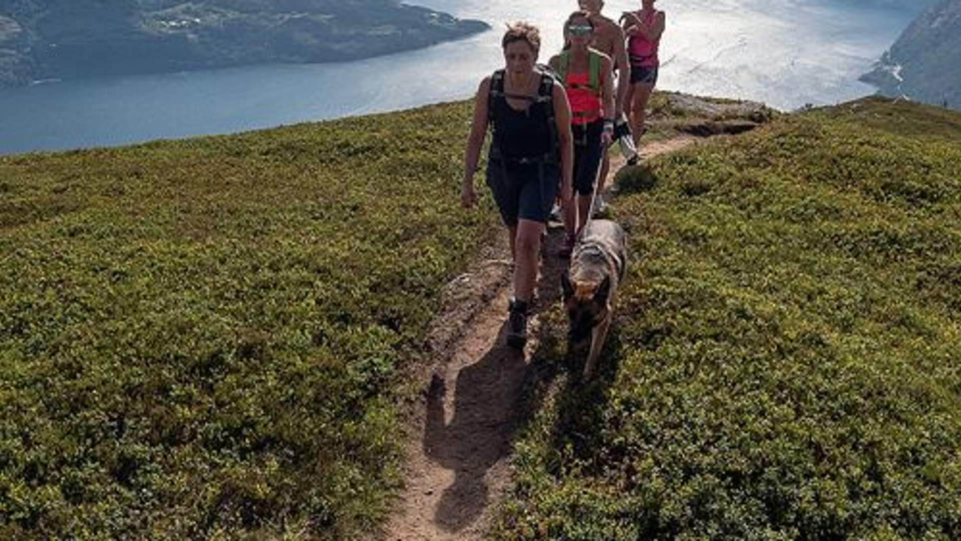 Oksenhalvøya (Oksen, Ingebjørgnuten, Midtfjell)