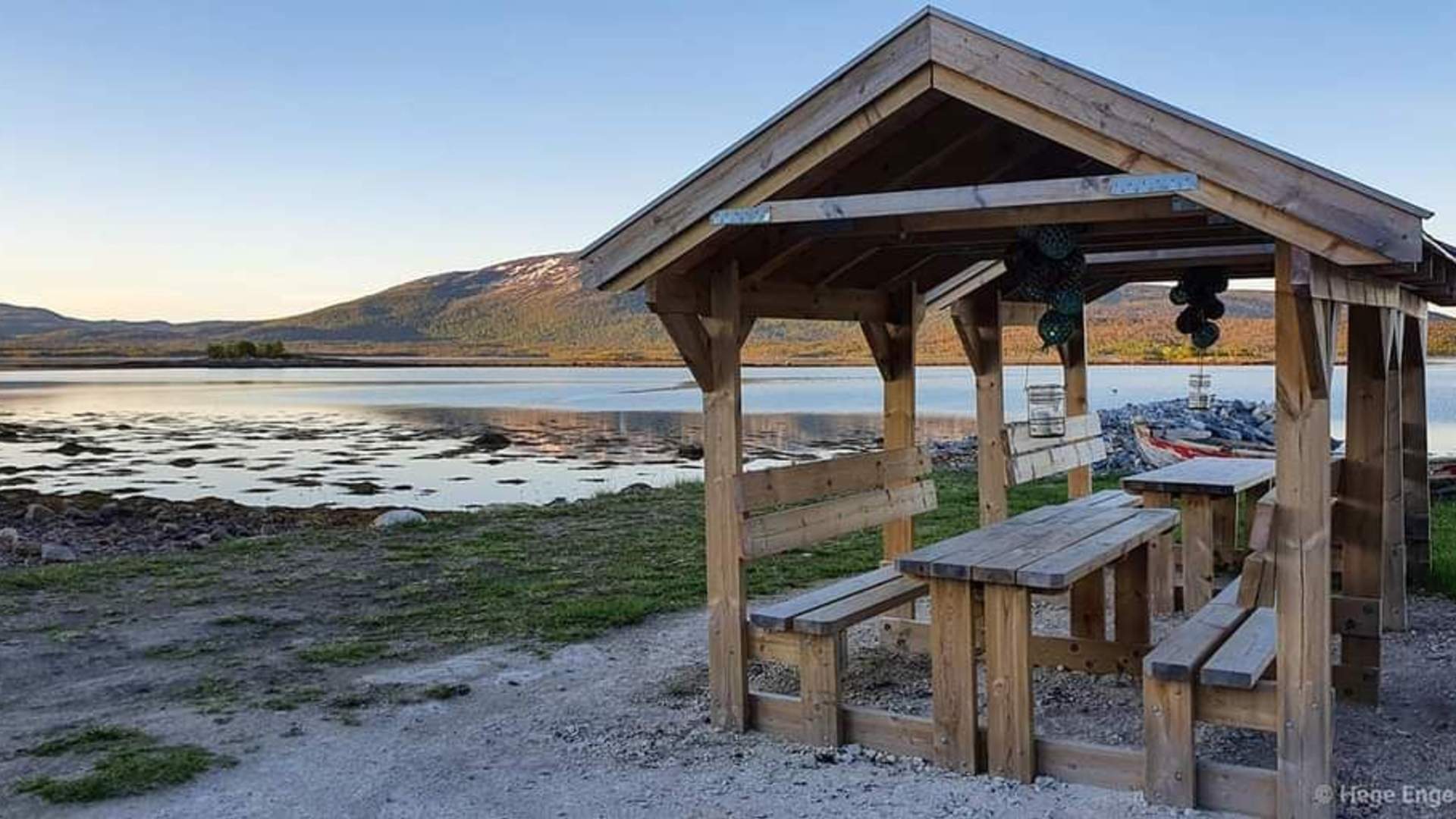 Norwegian Wild