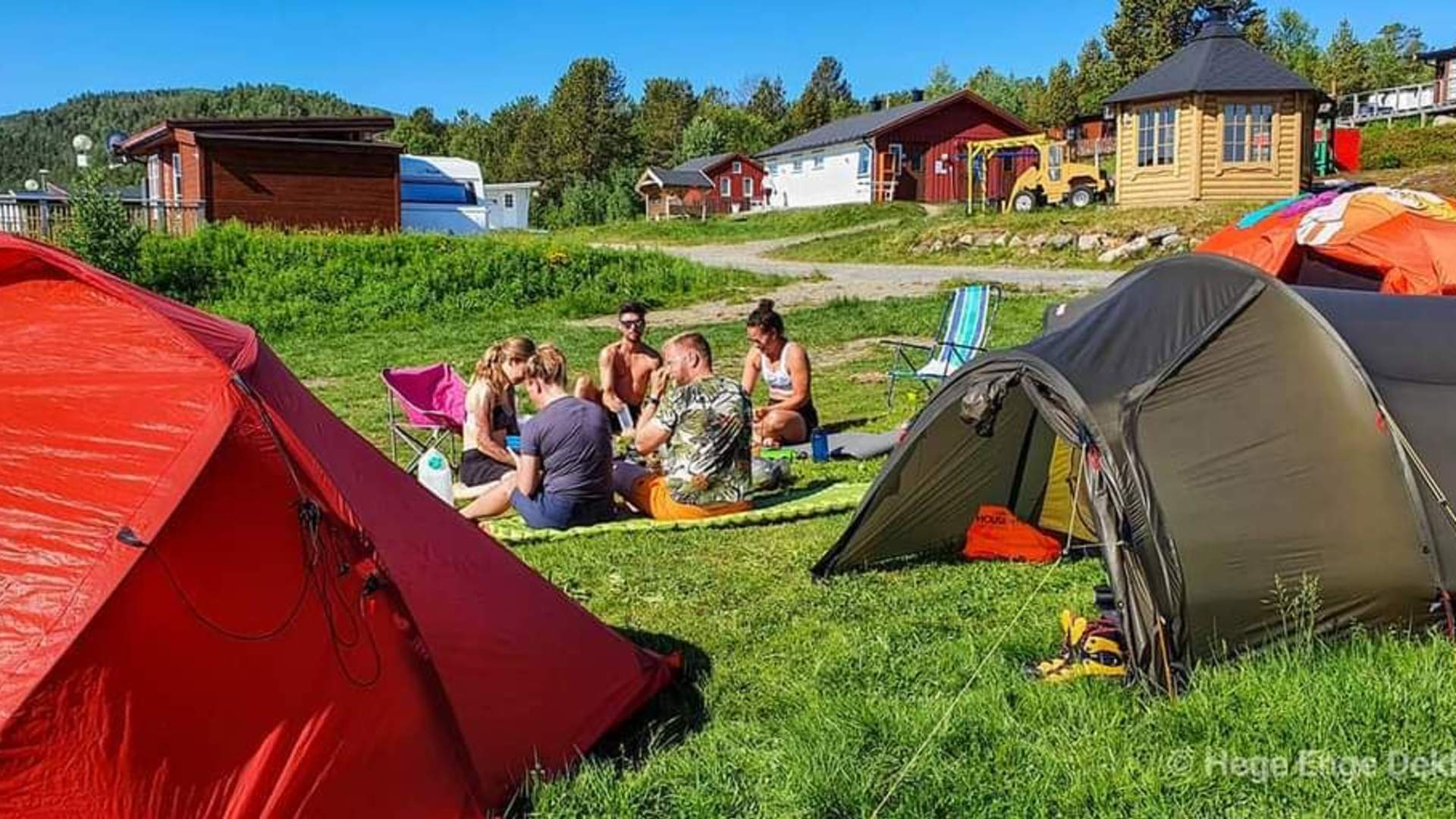 Norwegian Wild