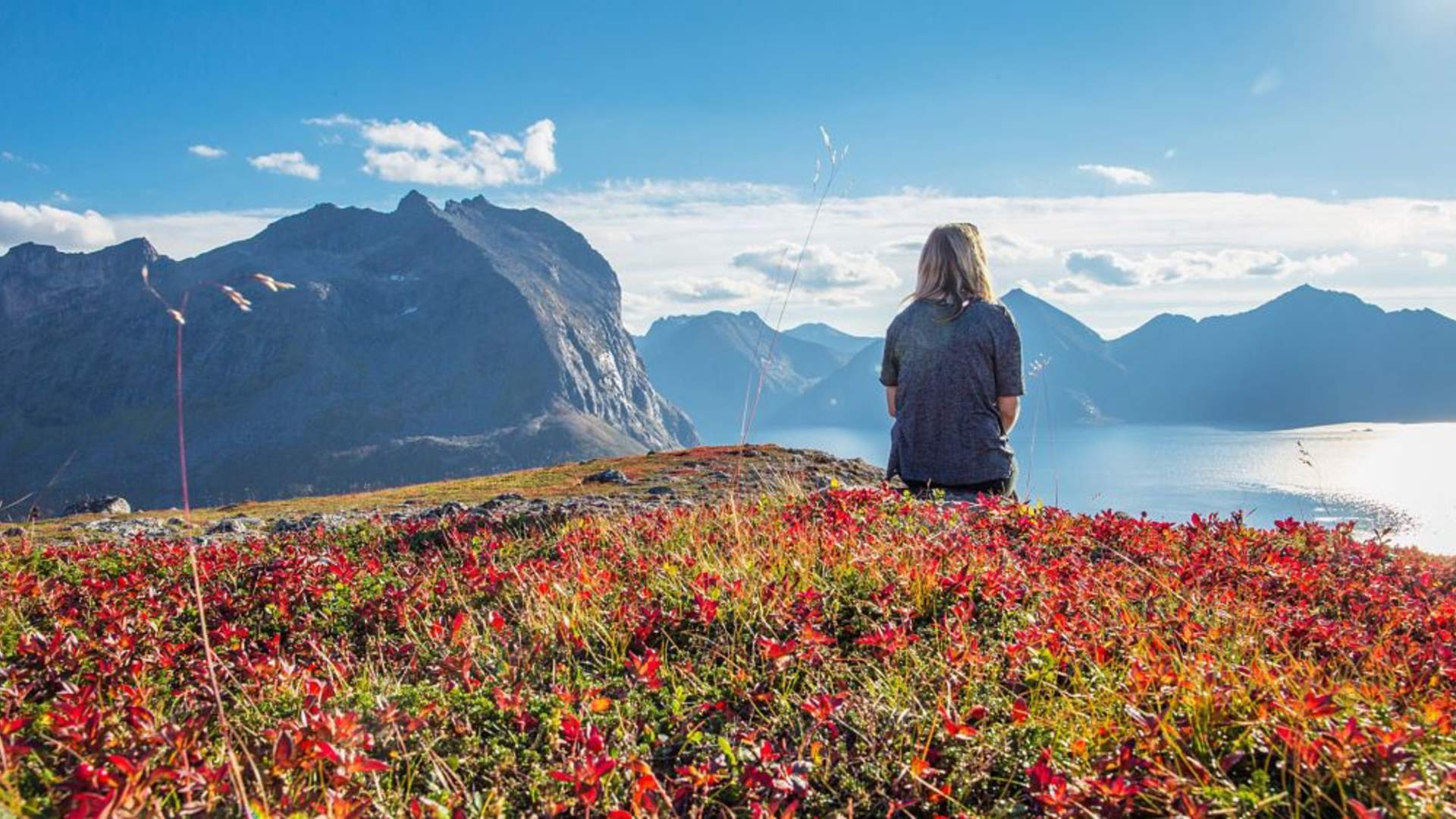 Fjord Expedition Tromso &#8211; Arctic Adventure Awaits