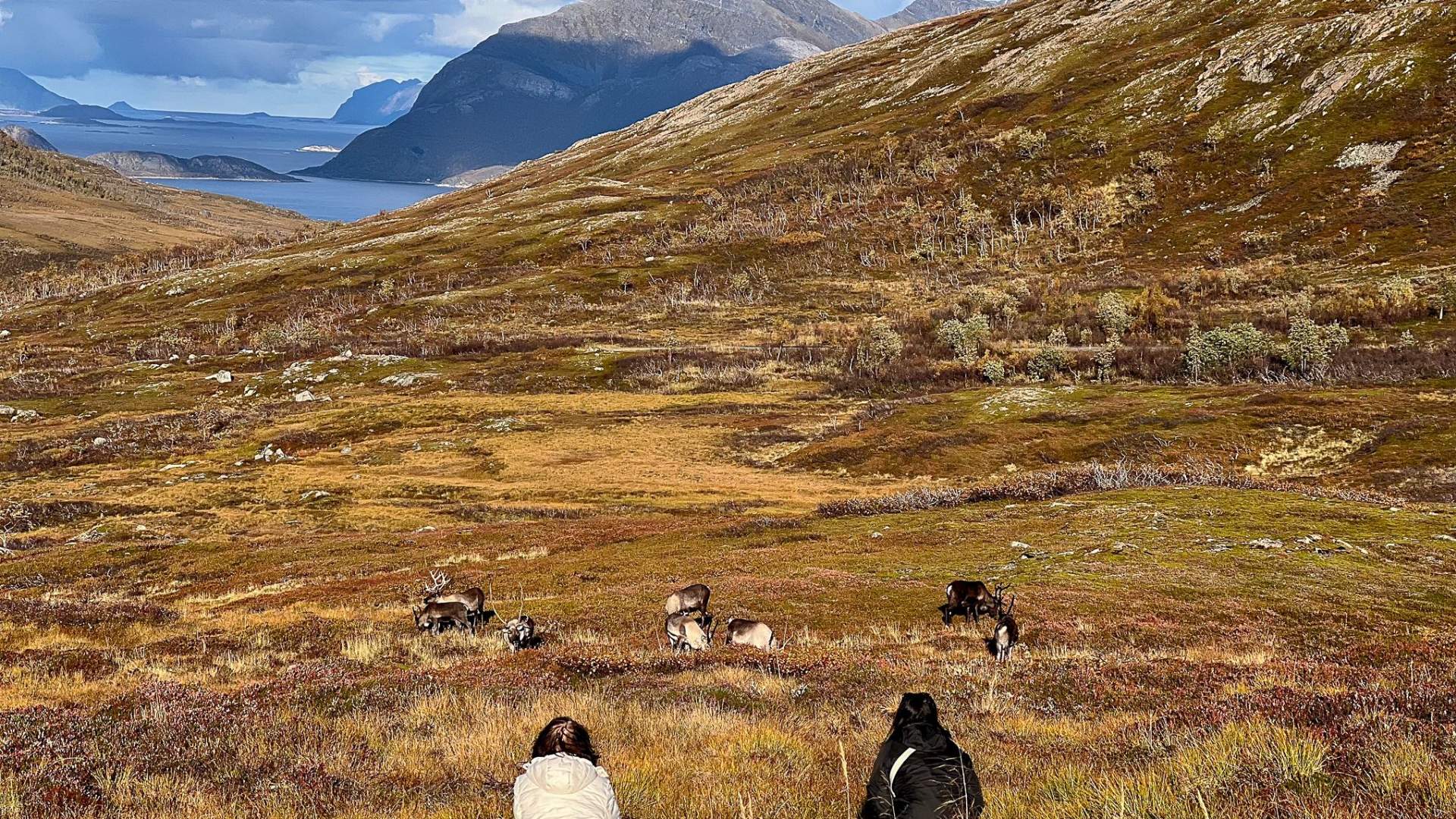 Fjord Expedition Tromso &#8211; Arctic Adventure Awaits