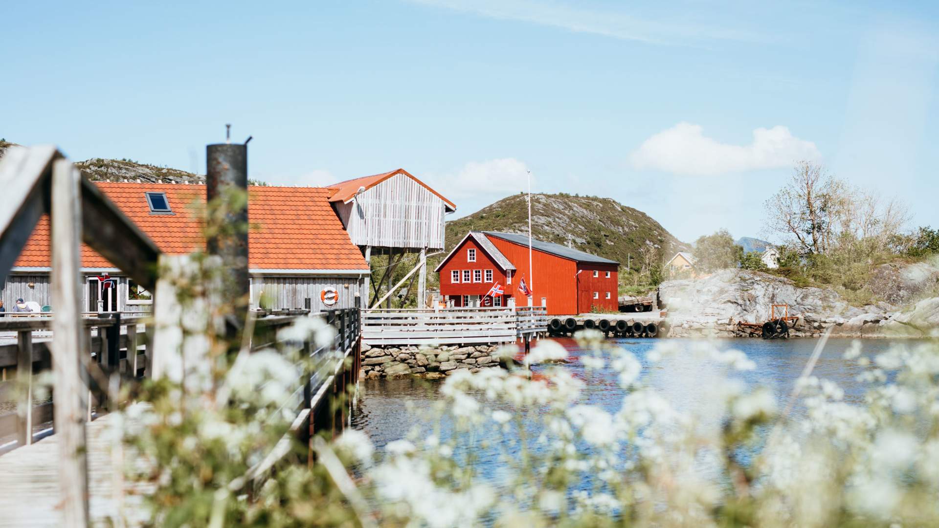 Skjærbuda