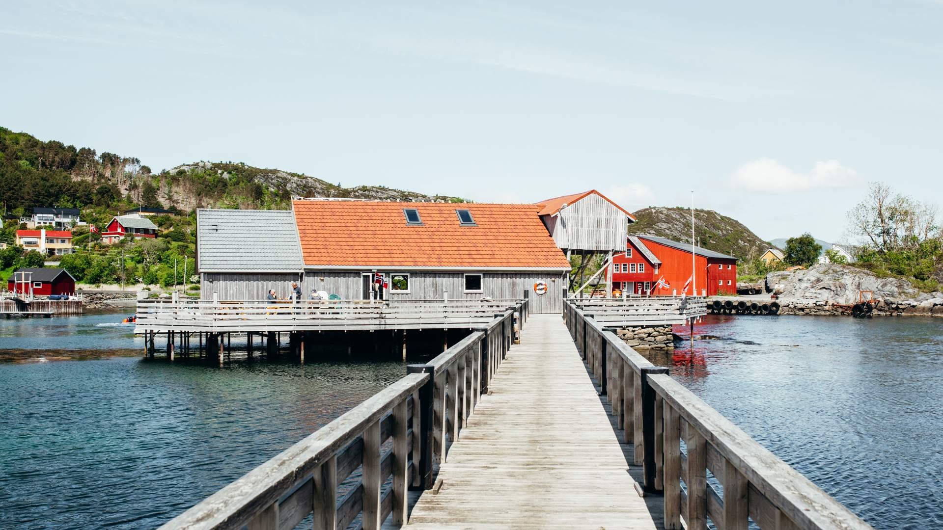 Skjærbuda