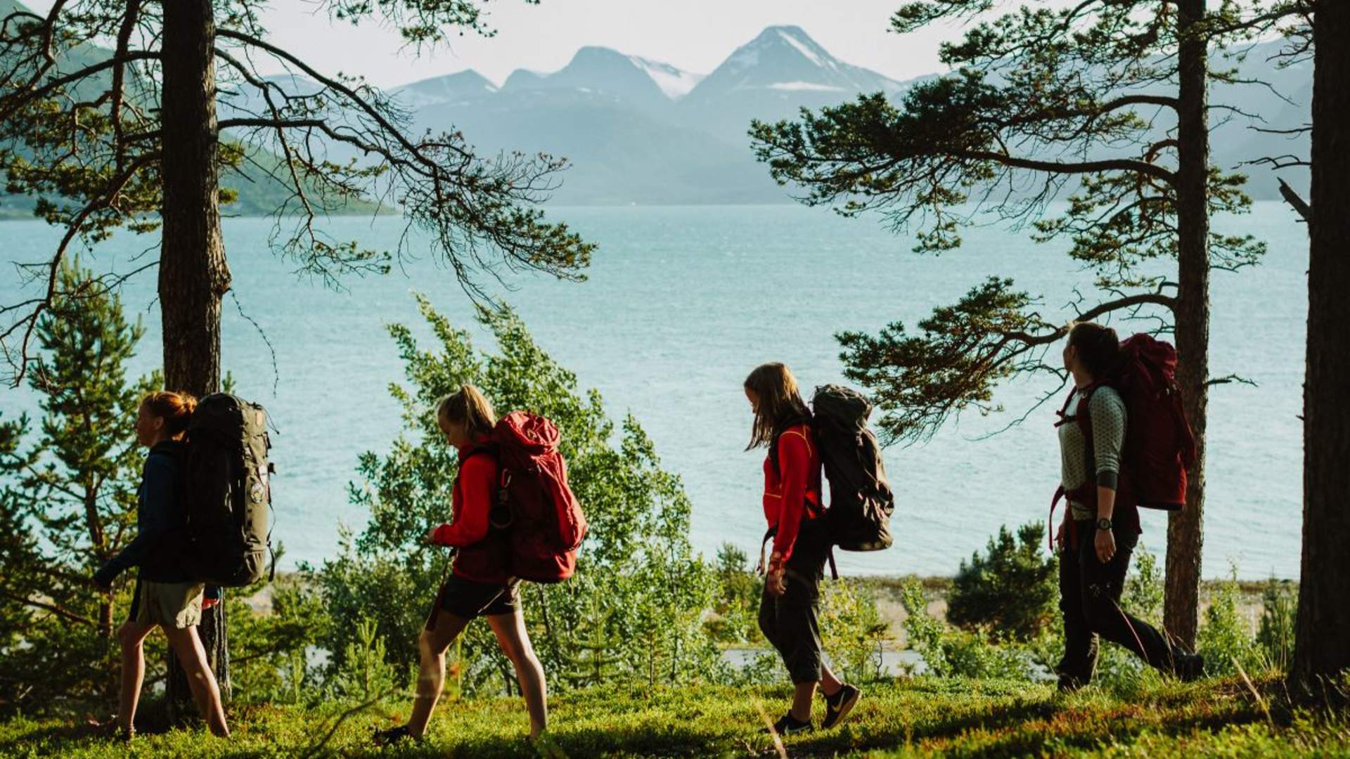 Husky vandring med Activenorth