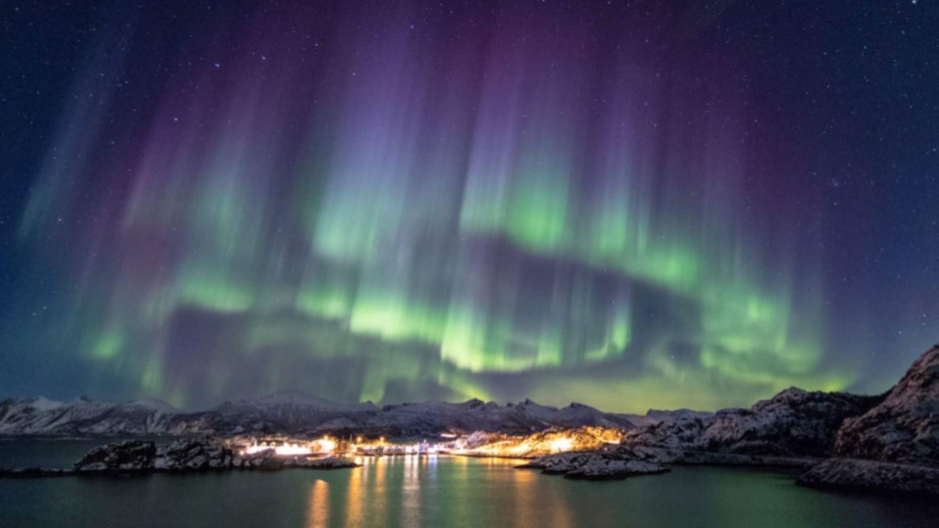 Magical winter Senja 3 nights