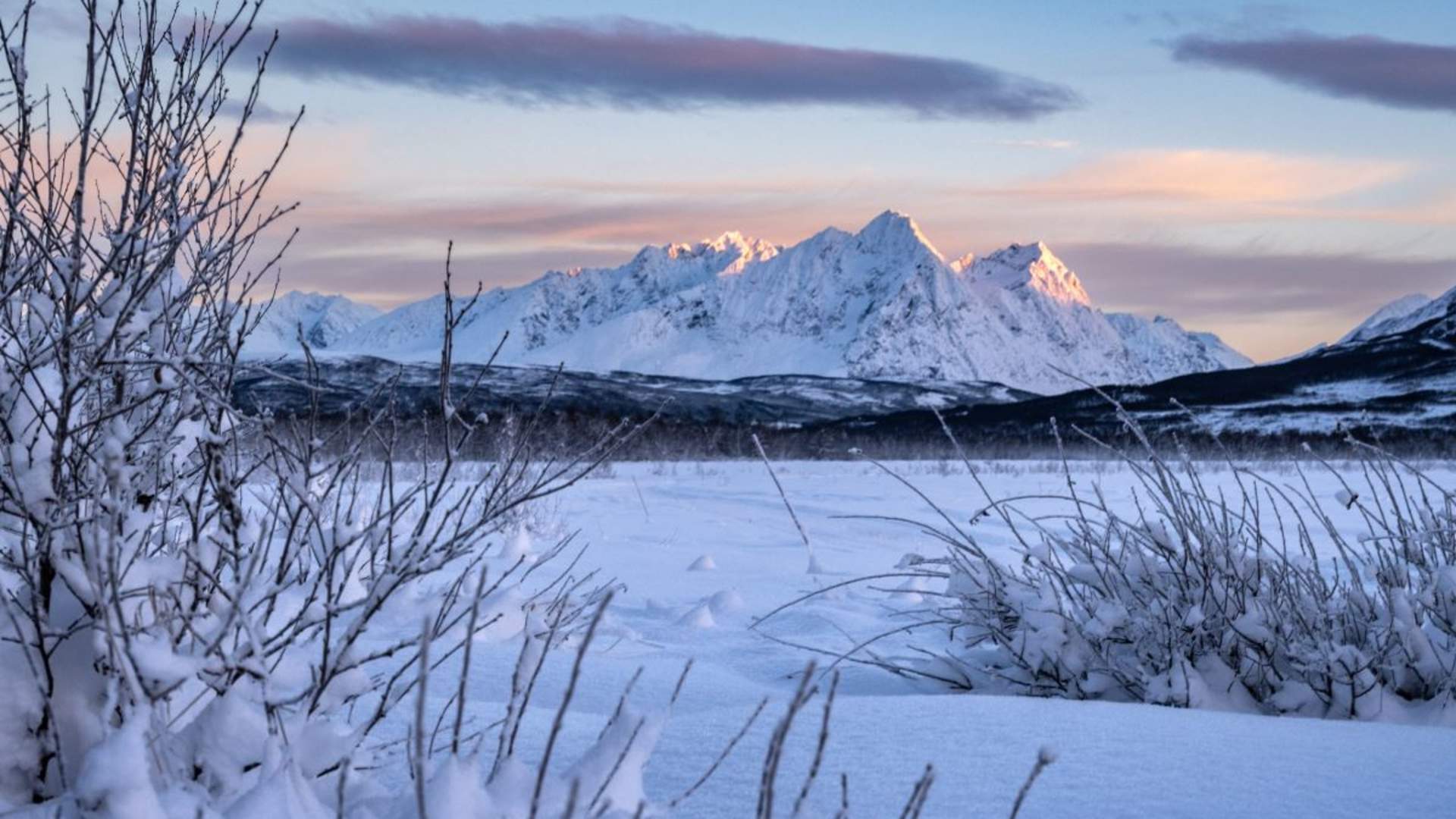 Reinsledekjøring med samisk kultur