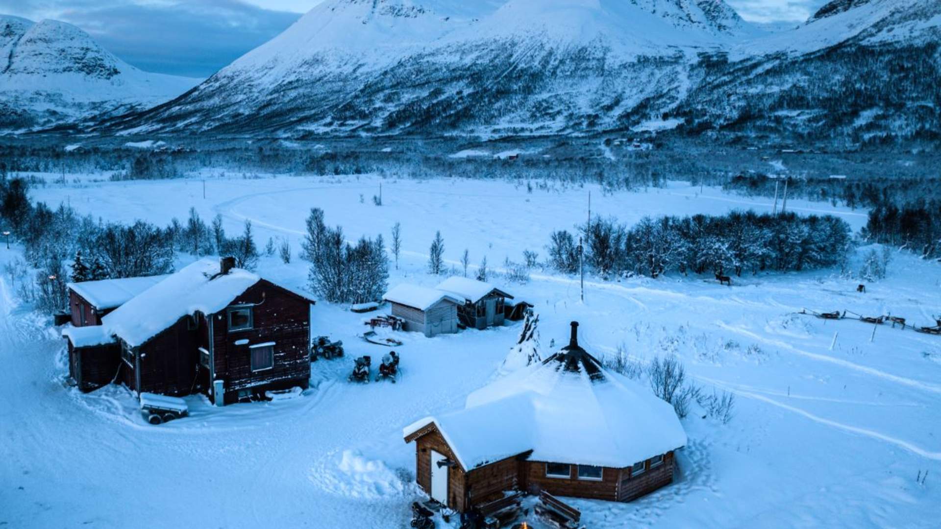 Samisk opplevelse med reinsdyrmating