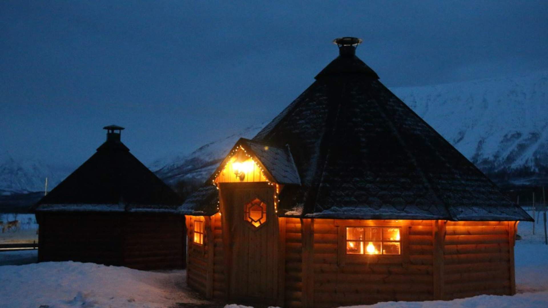 Reindeer Sledding, Reindeer Feeding and Sami Culture with a Chance of Northern Lights