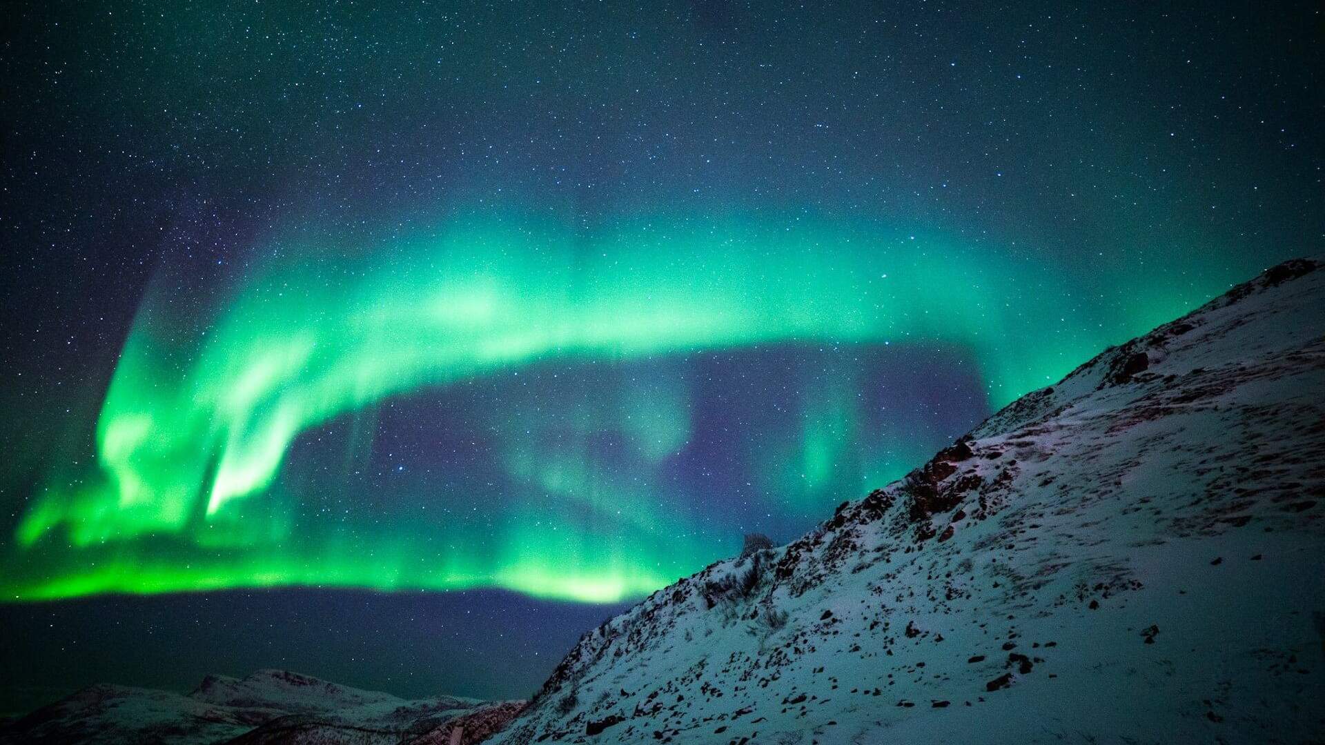 Borealis Tour