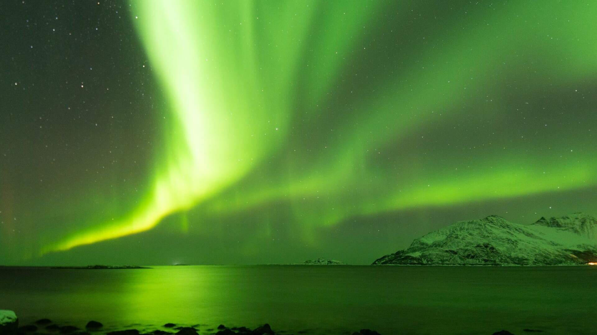 Borealis Tour