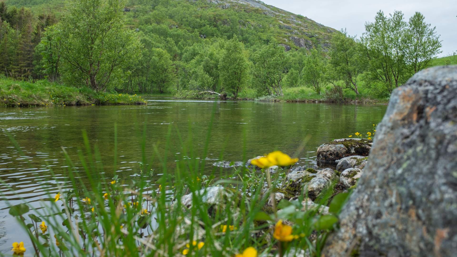 Guidet Kayaking in Ånderdalen National Park