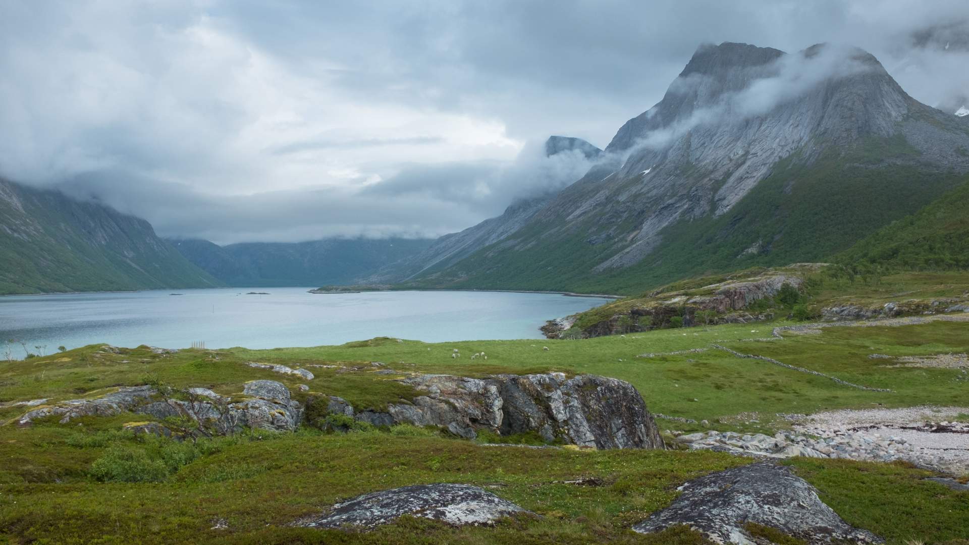 Guidet Kayaking in Ånderdalen National Park