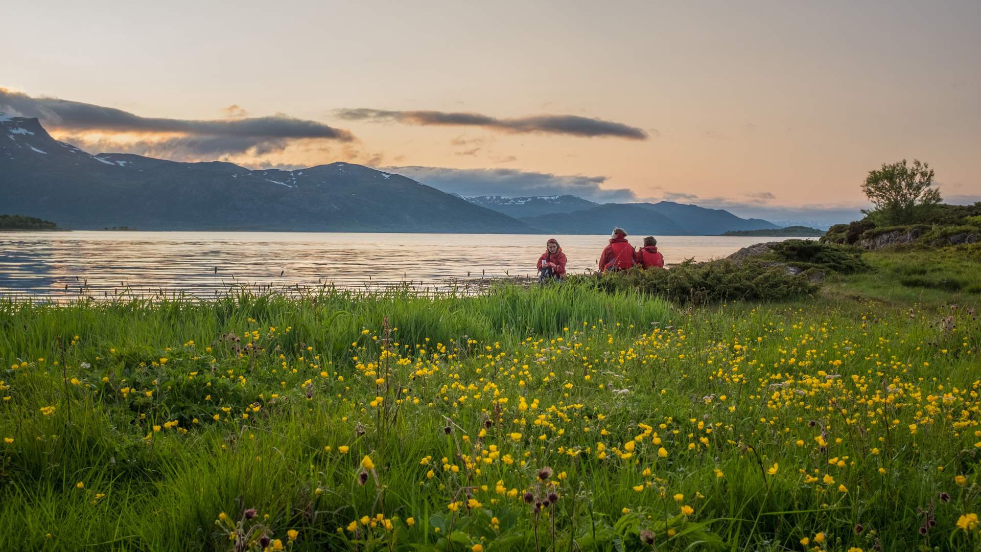 Guidet Midnight Sun Kayaking in Ånderdalen National Park