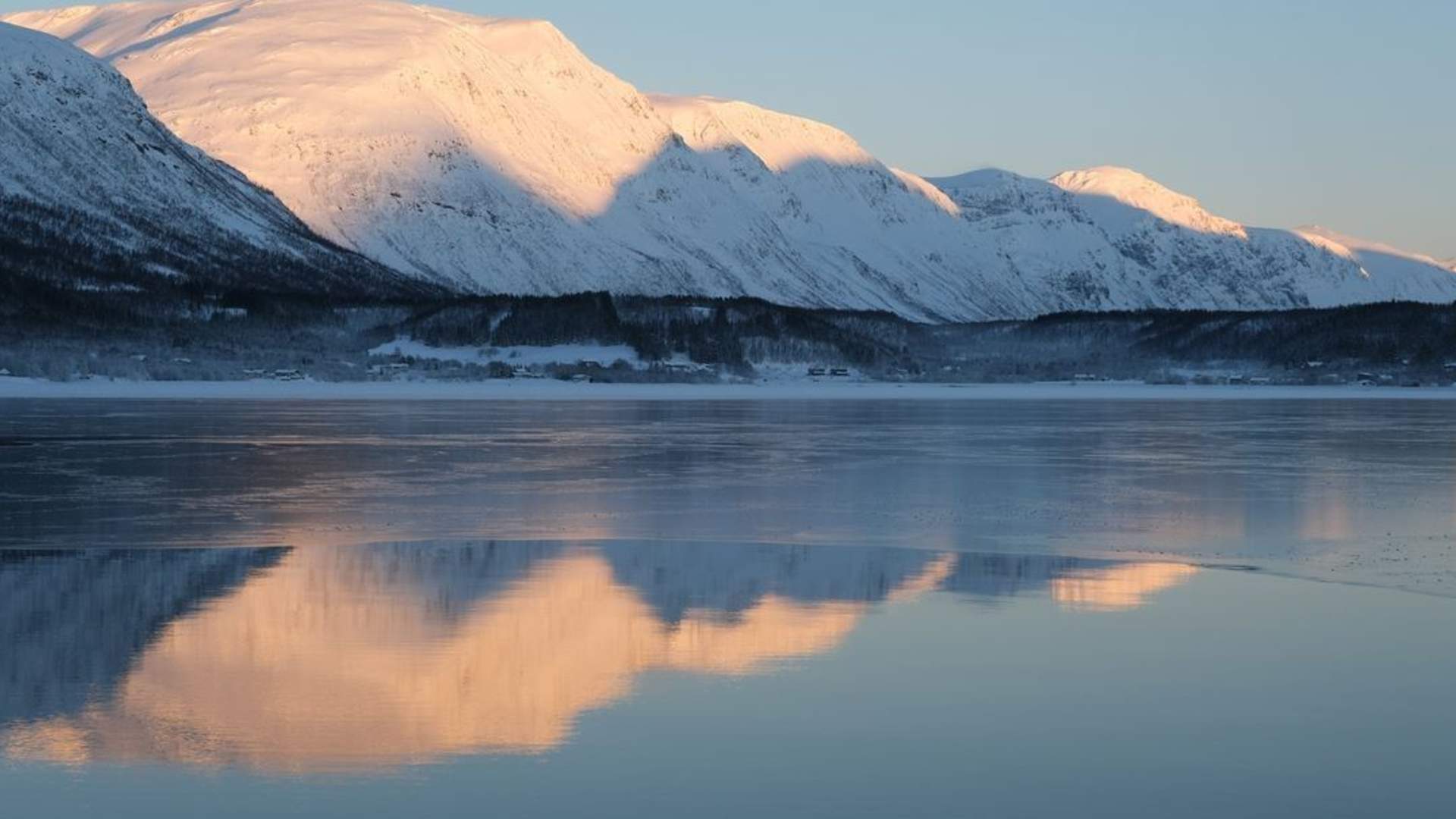 Fjord cruise from Tromsø