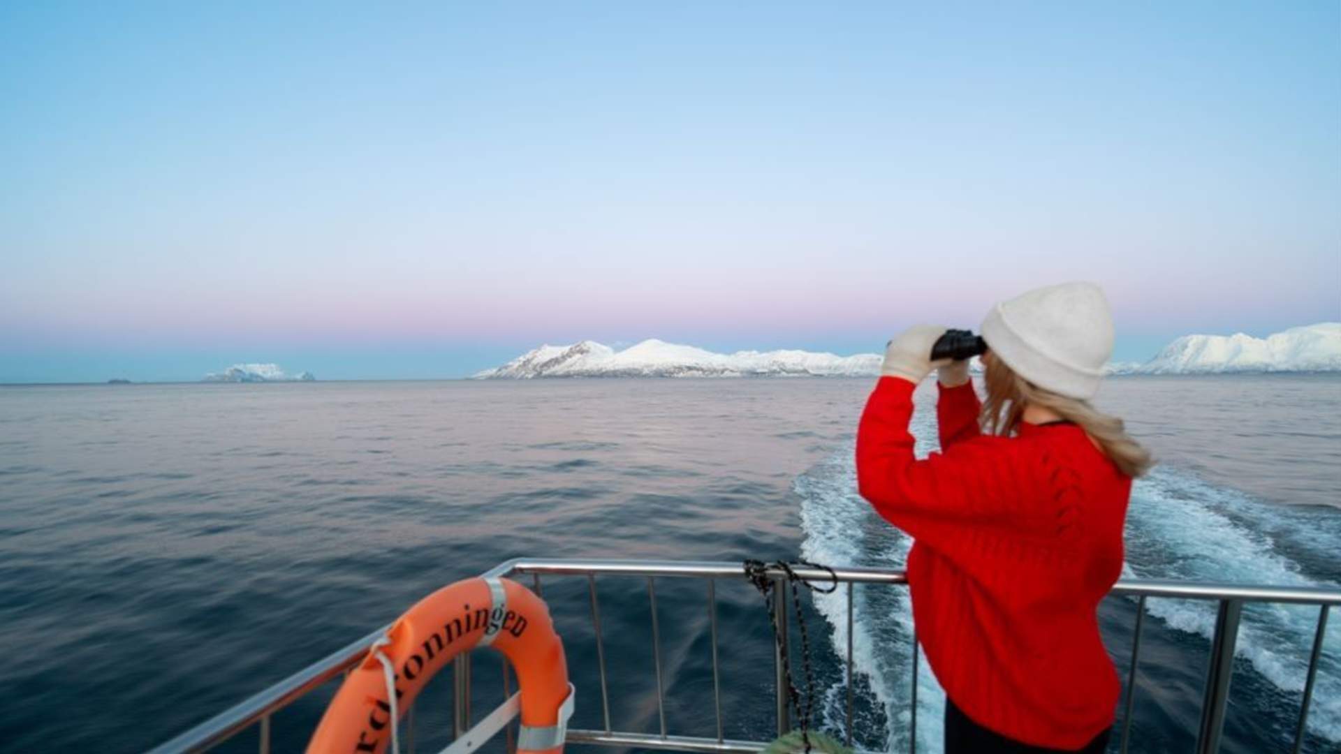 Fjord cruise from Tromsø