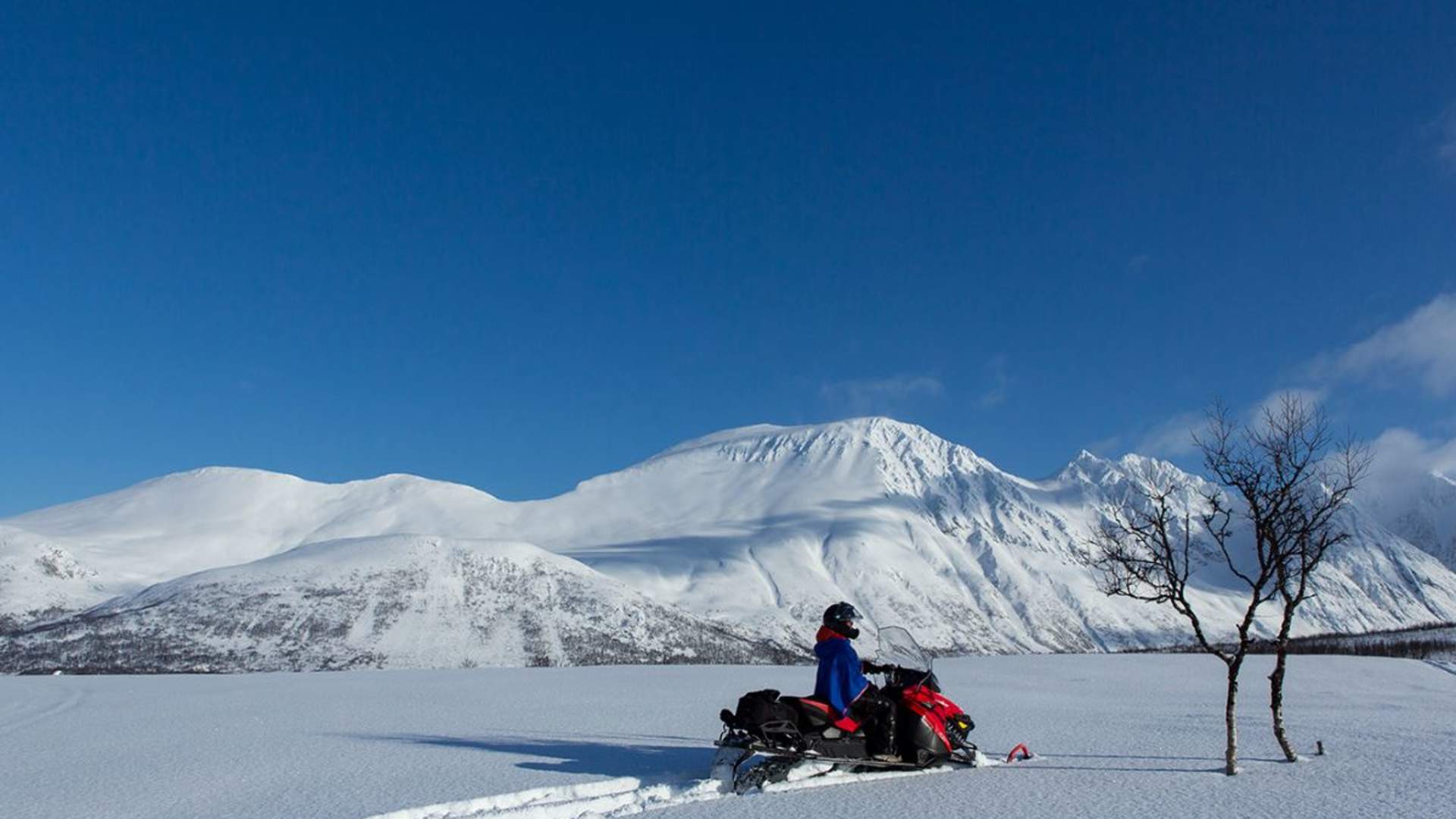 Snowmobile Experience - With Transfer From Tromsø