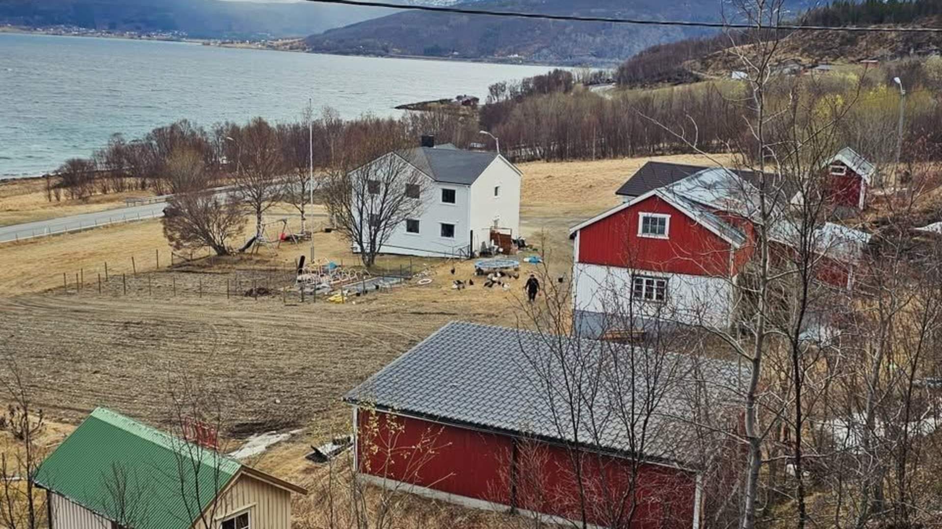 Open farm at Ankenes