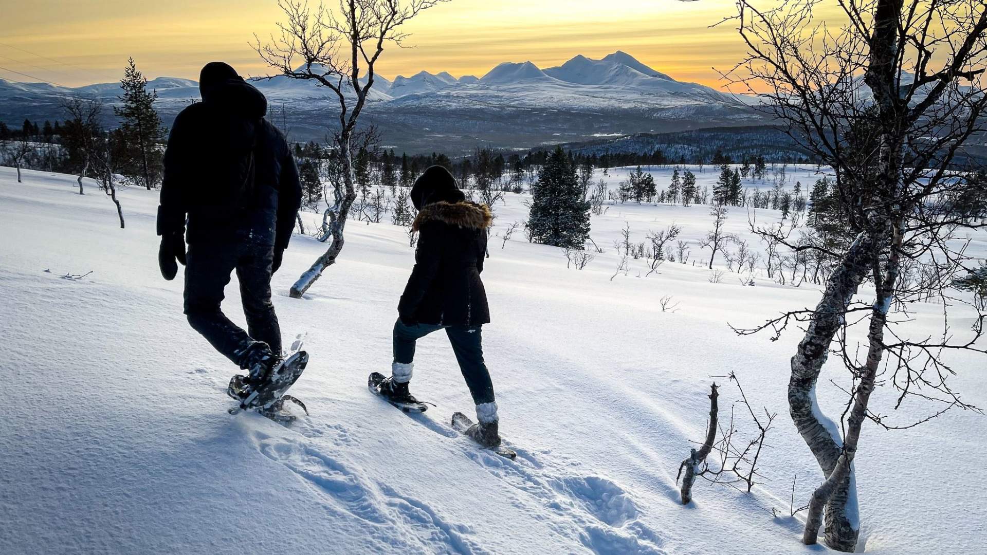 Arktiske villmarksopplevelser