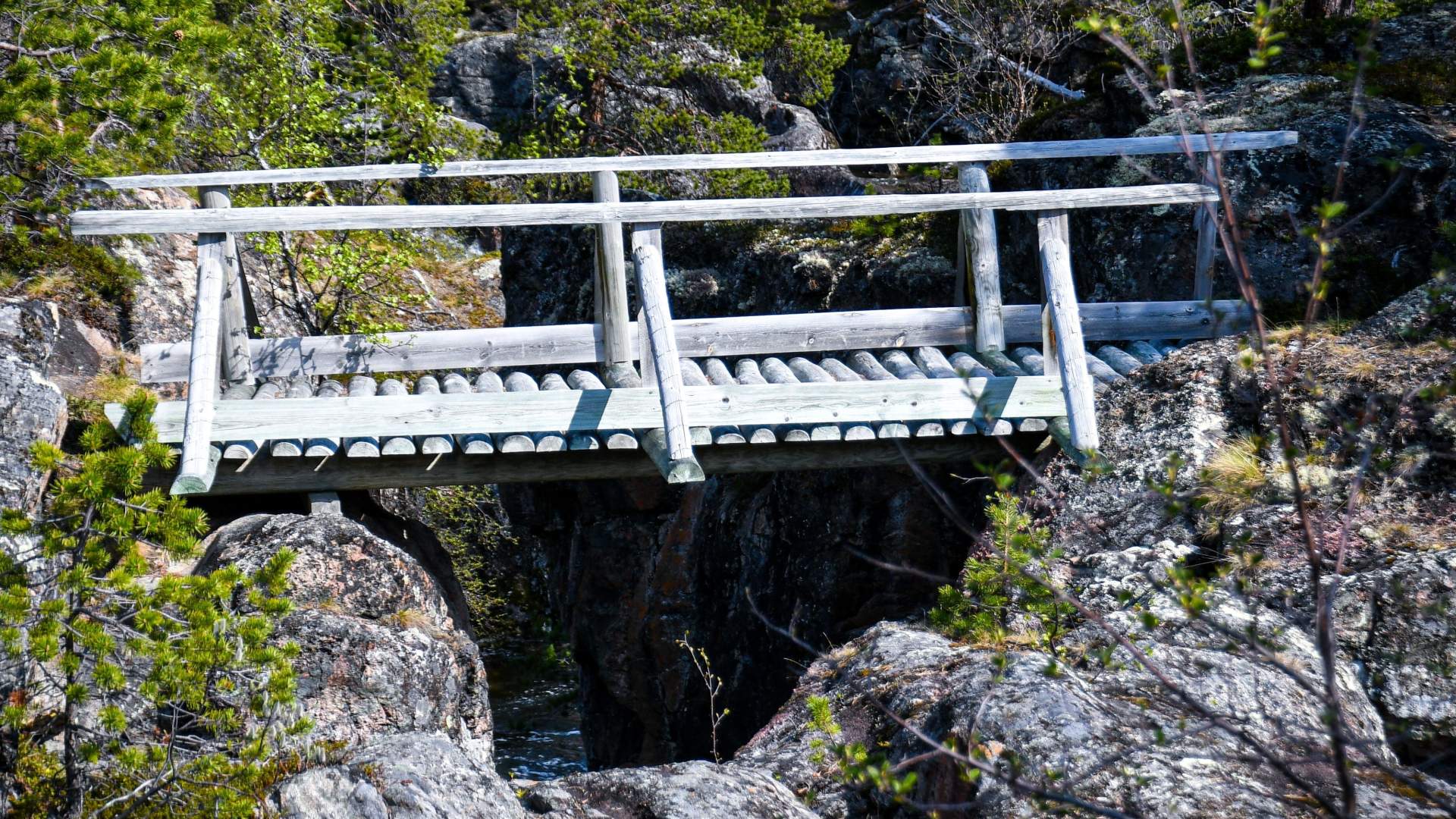 Arktiske villmarksopplevelser