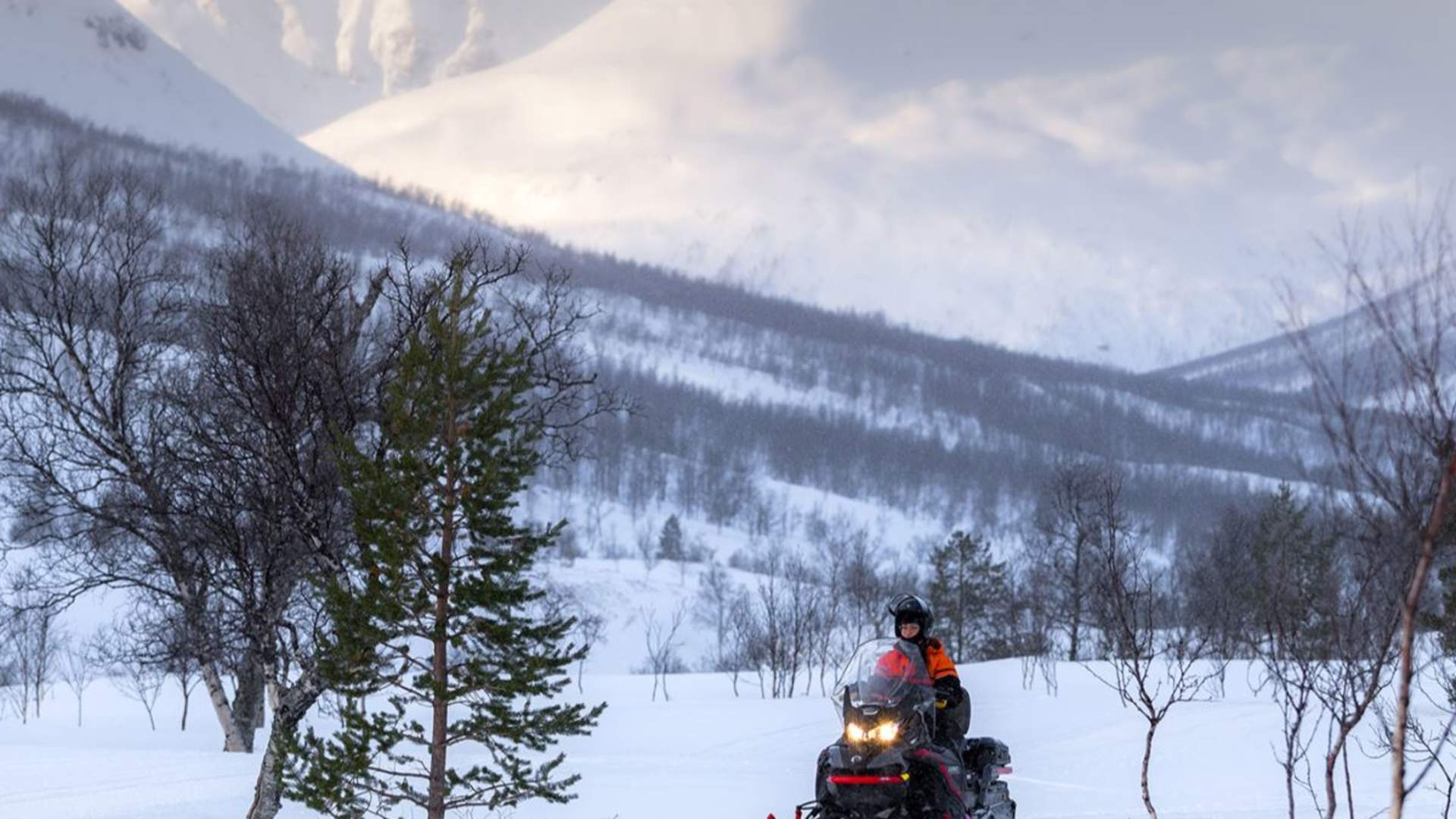 Snowmobiling Midday - Excluding Transport