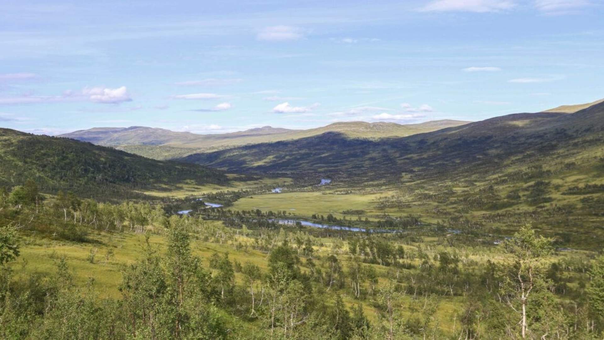 Light Backpack Hike from Børgefjell to Okstindan