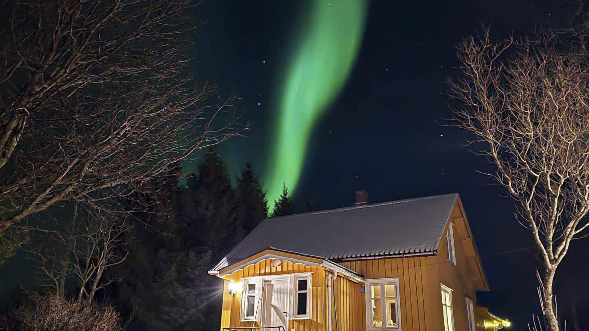 Nature experiences in the beautiful Solvær archipelago with Solværøyan Birds and Beds
