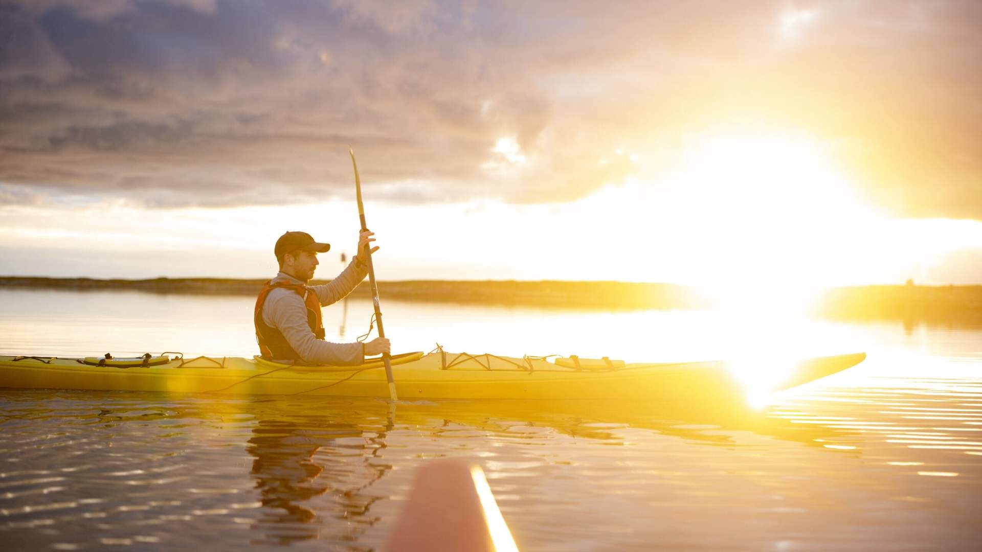 Nature experiences in the beautiful Solvær archipelago with Solværøyan Birds and Beds