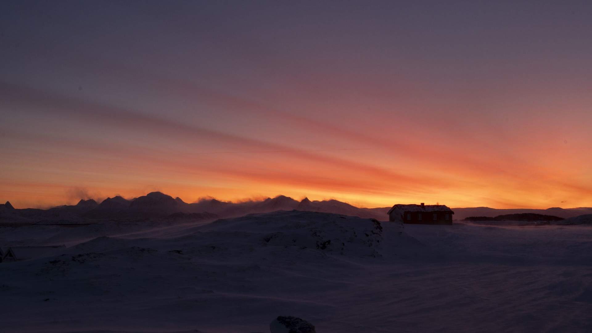 Nature experiences in the beautiful Solvær archipelago with Solværøyan Birds and Beds