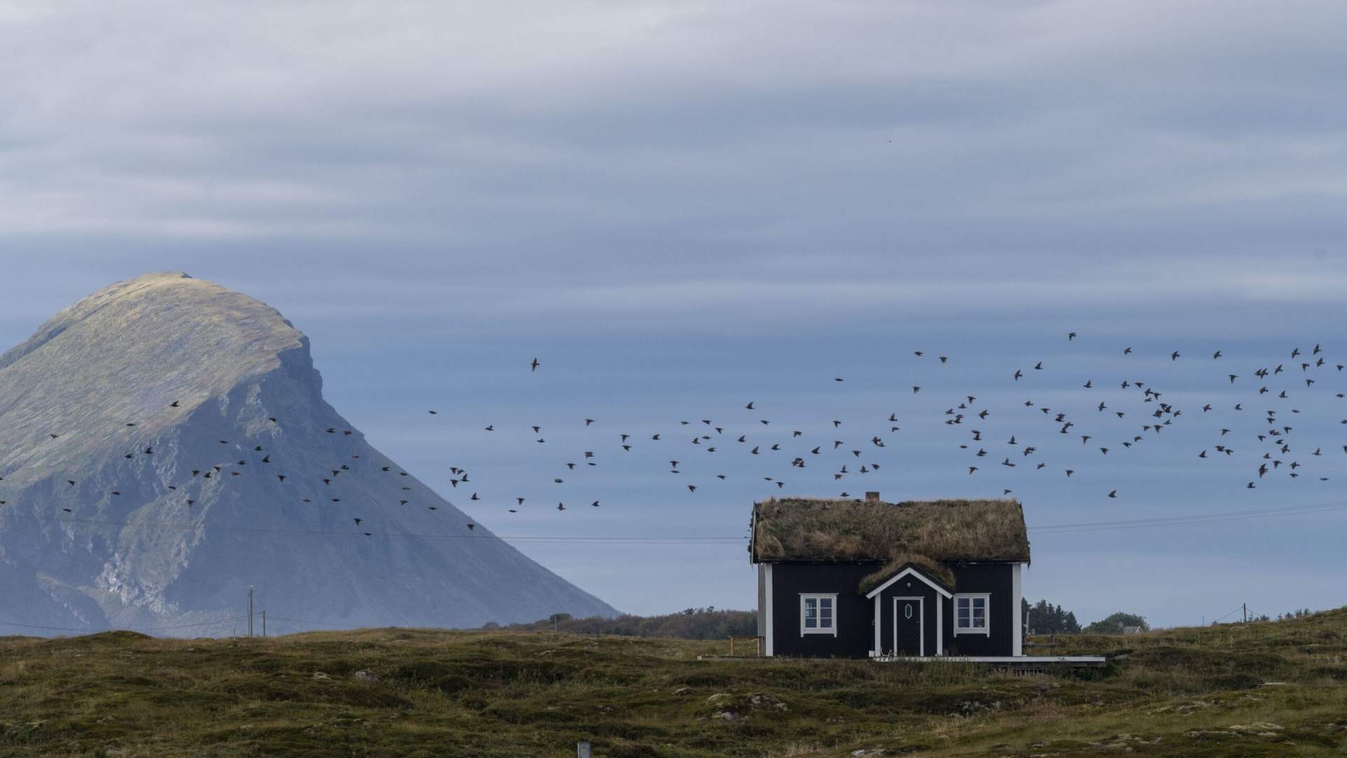 Nature experiences in the beautiful Solvær archipelago with Solværøyan Birds and Beds