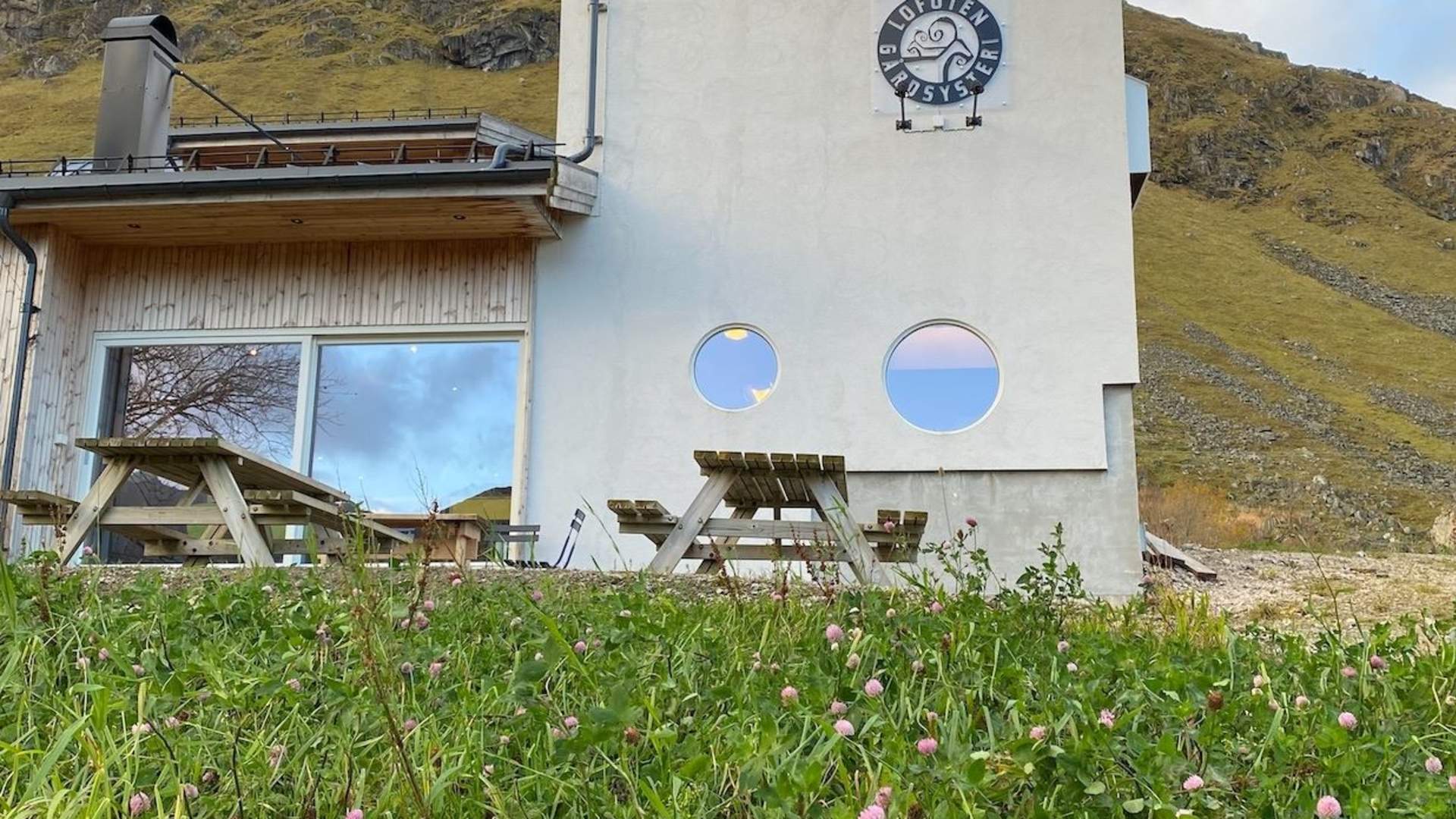 Lag økologisk ost med ostebonde hos Lofoten Gårdsysteri