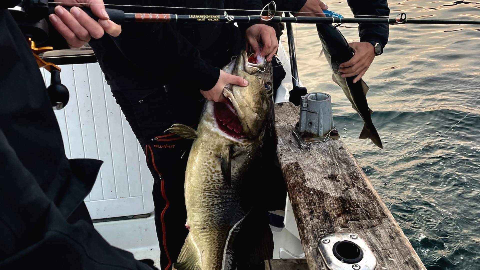 Hooked & Cooked: Fishing Trip & 3-Course Dinner