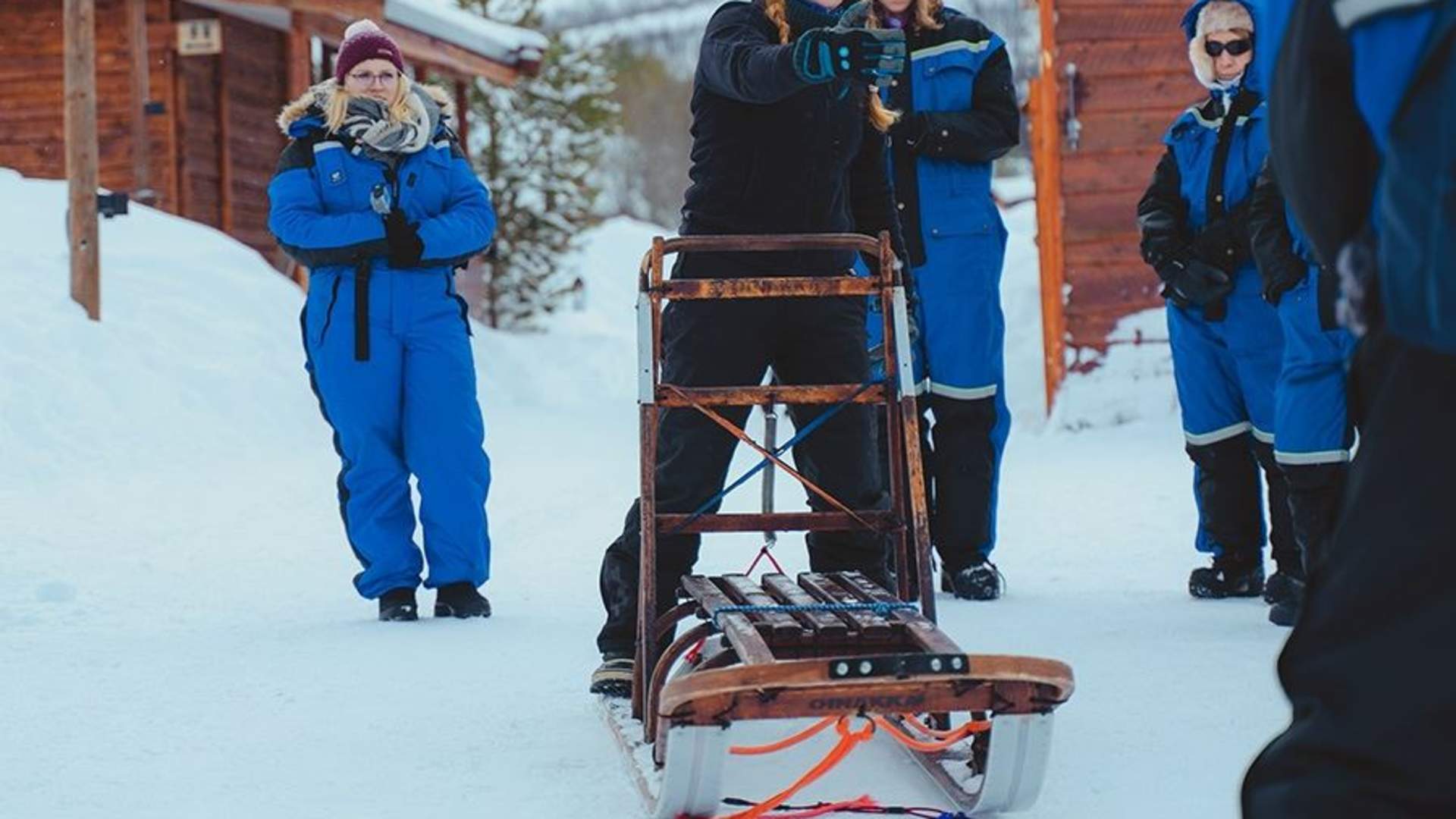 Avansert Hundeslede Dagtid – Ekskludert Transport