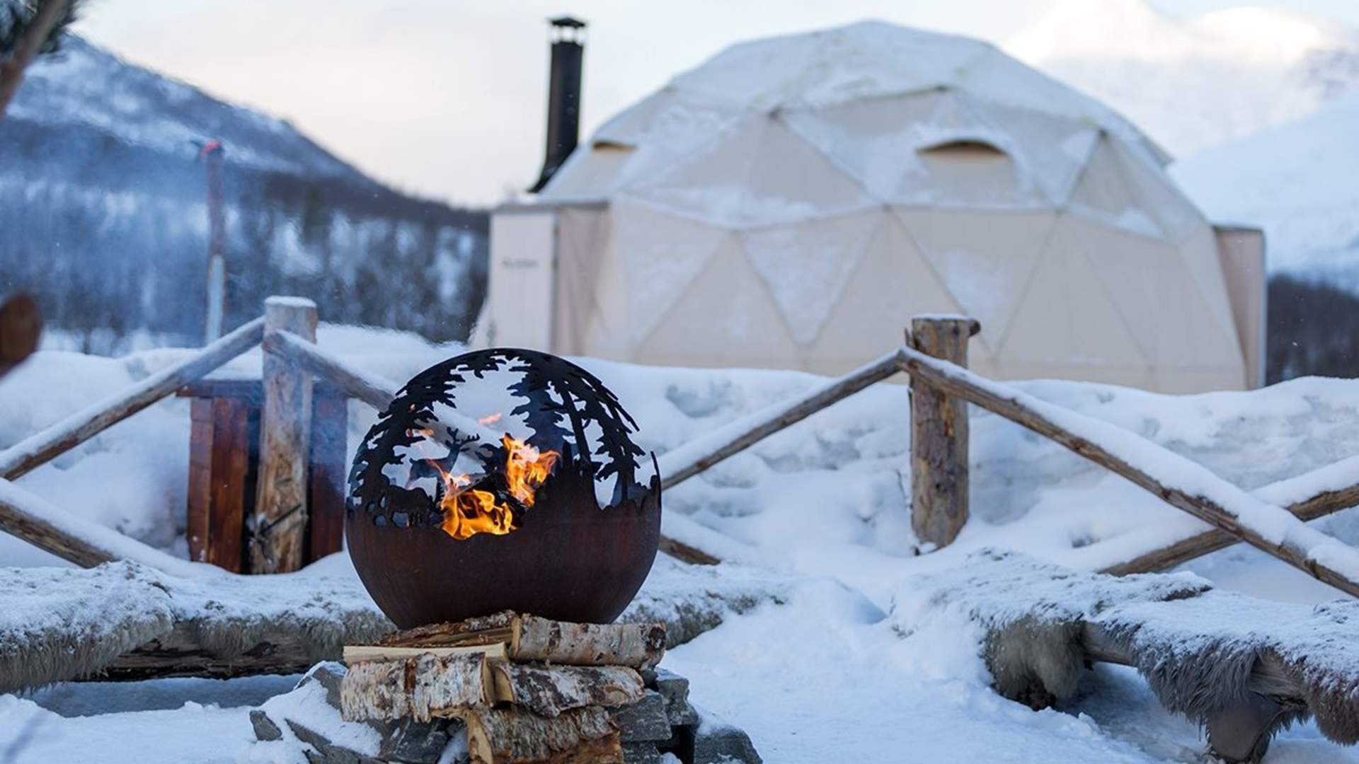 Avansert Hundeslede Dagtid – Ekskludert Transport