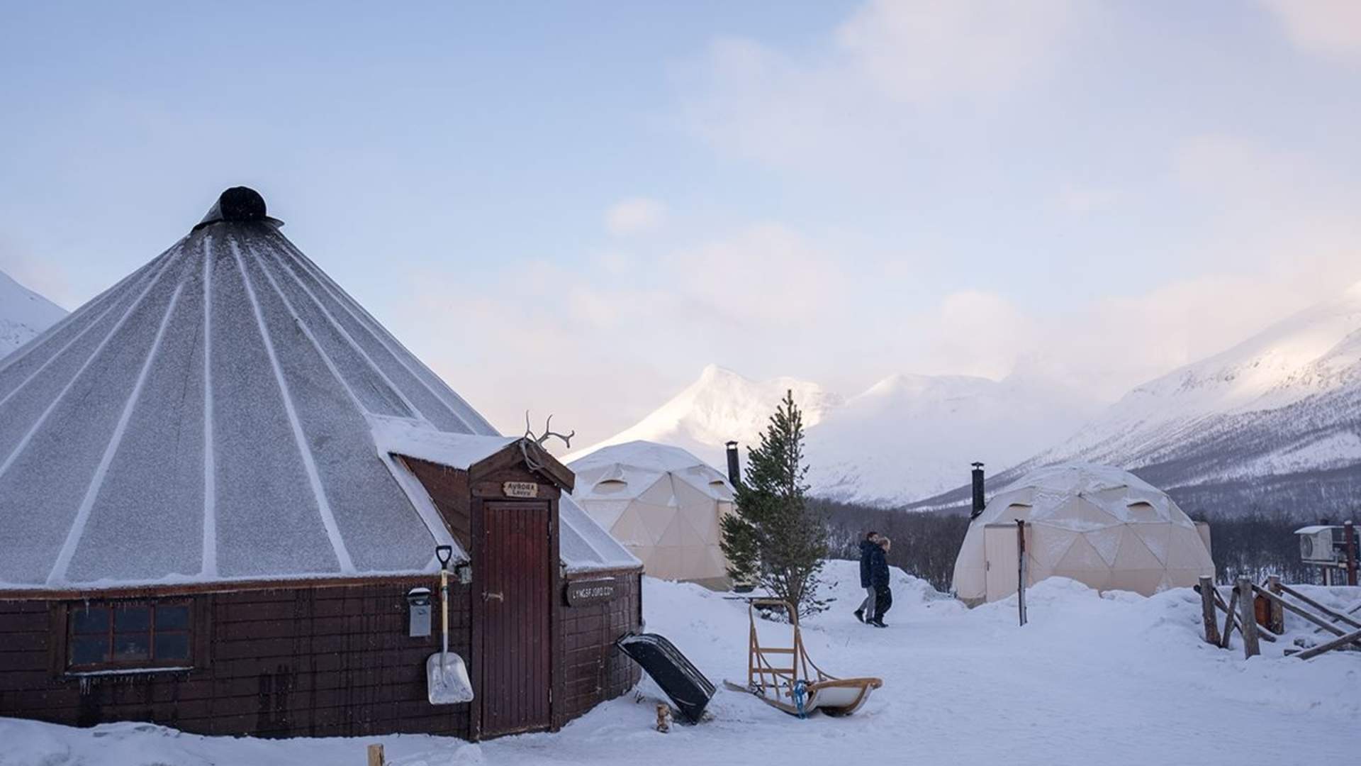 Avansert Hundeslede Dagtid - Inkludert Transport