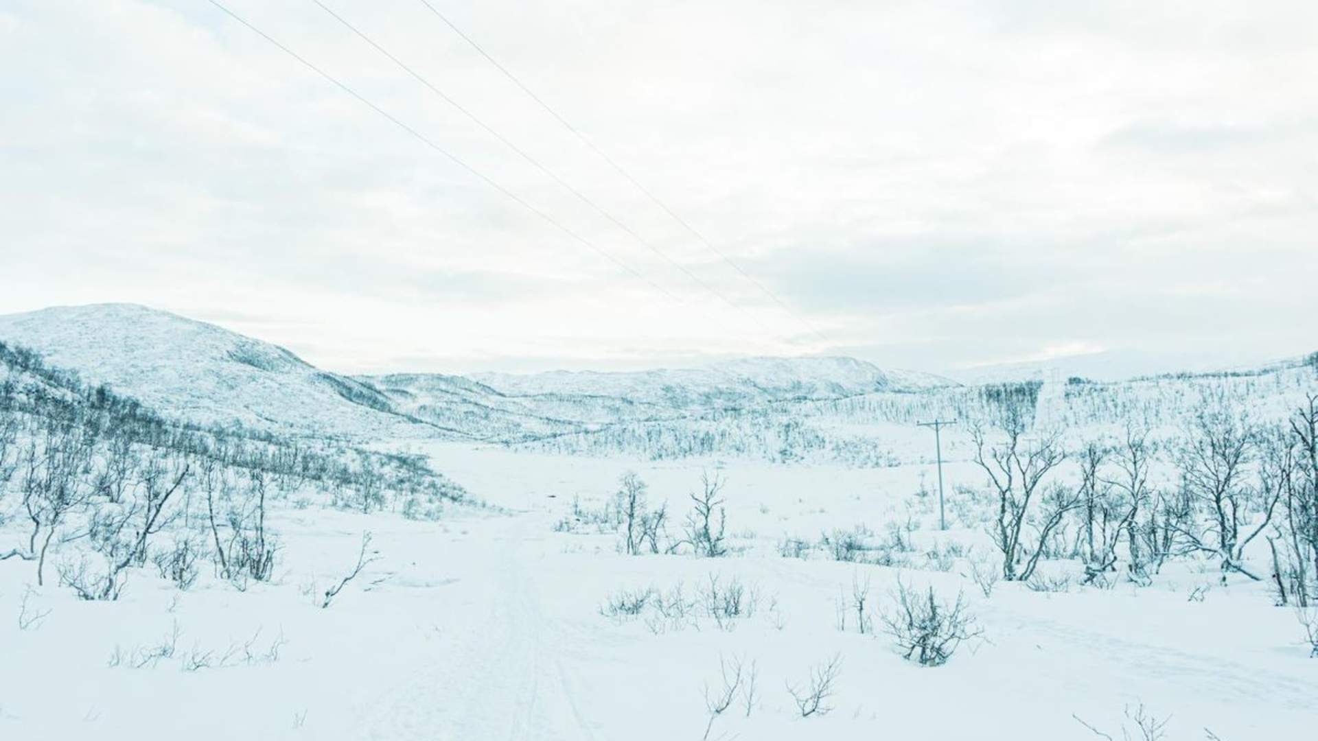 Dog sledding in Tromsø
