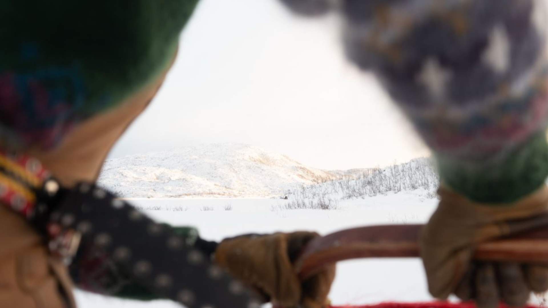 Dog sledding in Tromsø